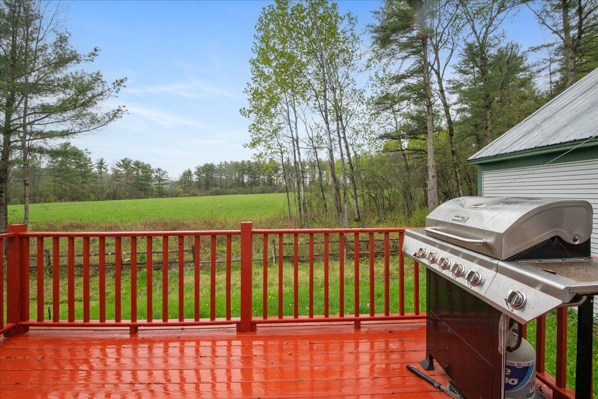 View from rear deck to the meadow!