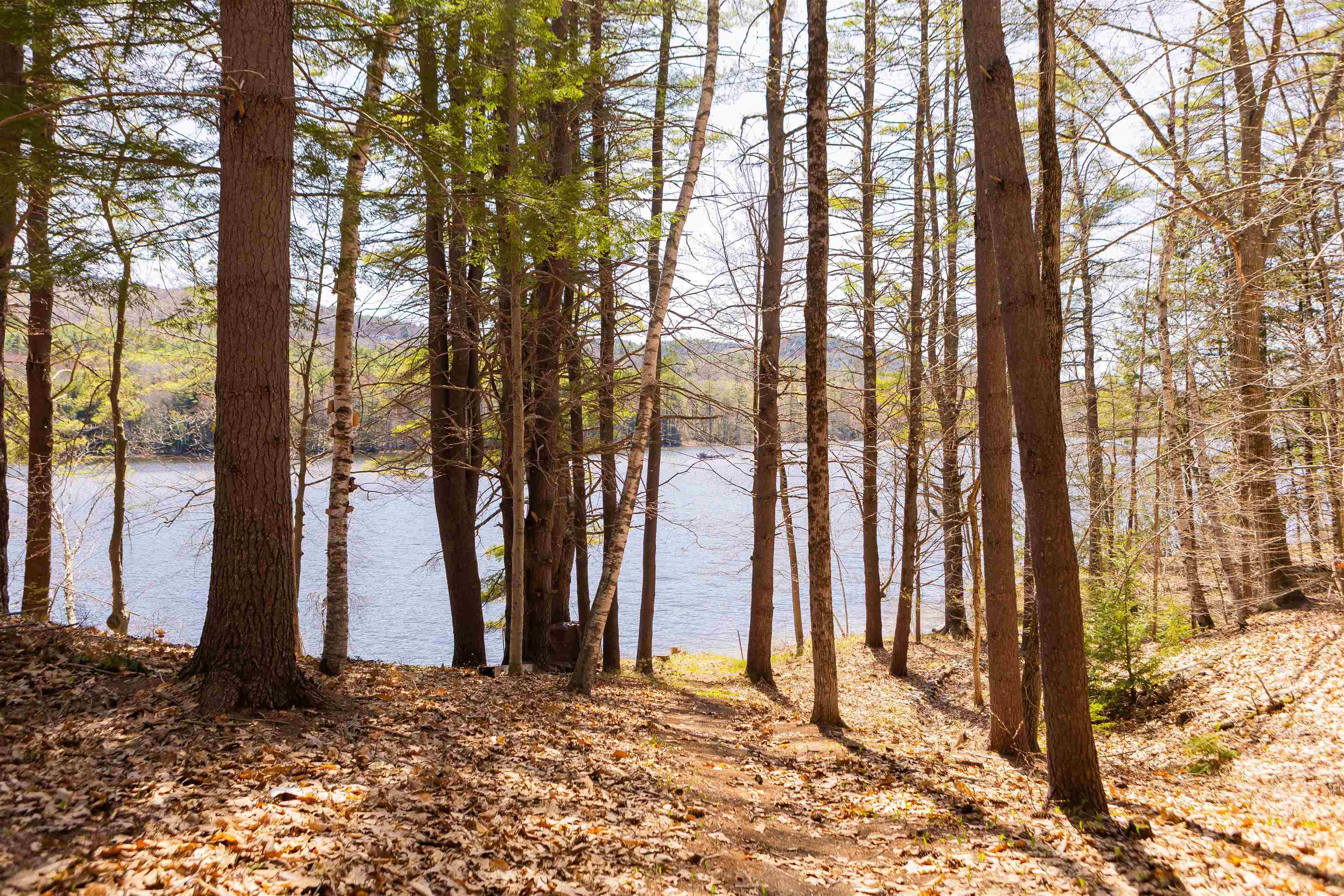 MLS #5039992 image #12