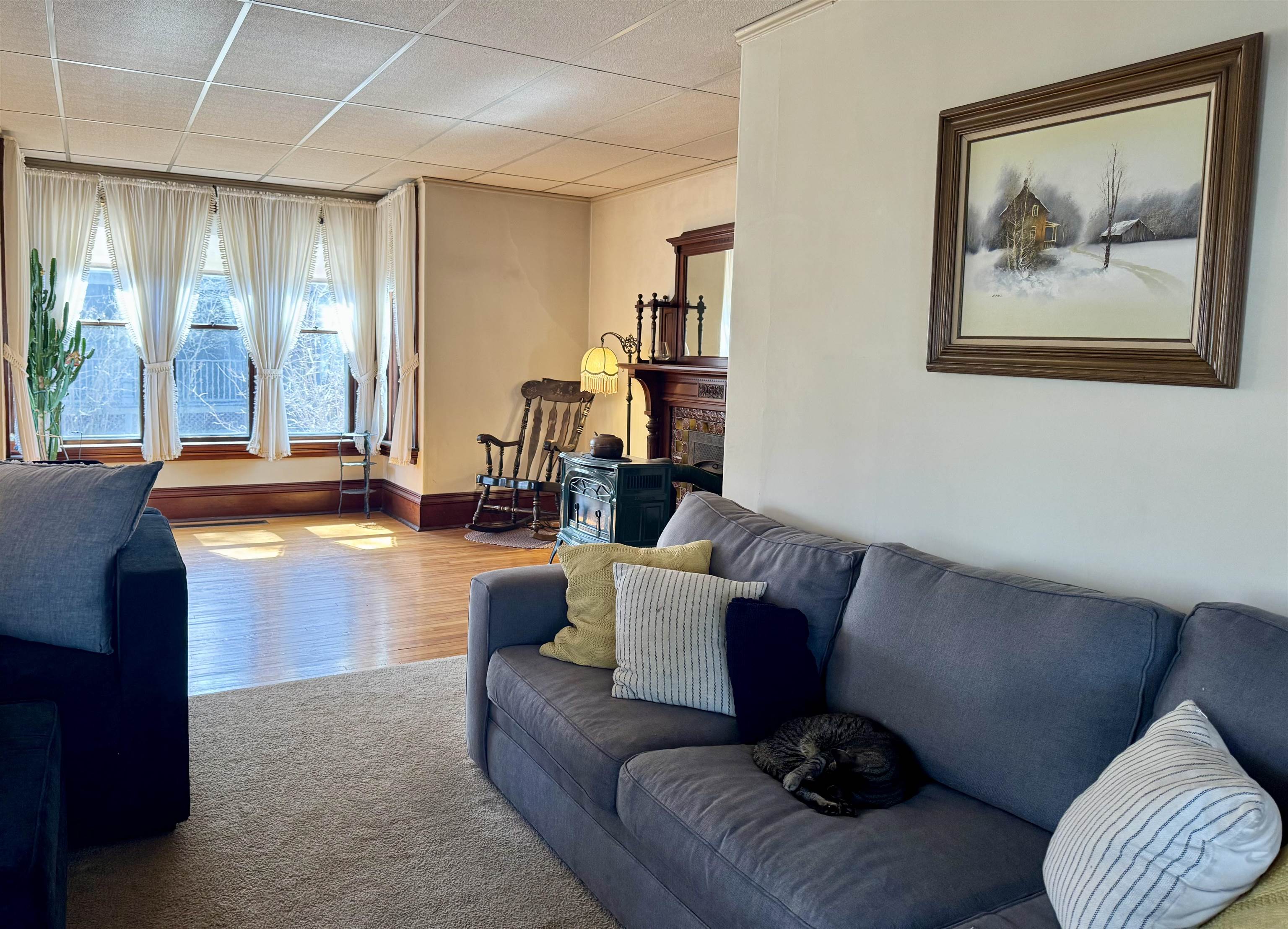 Living Room 22954064