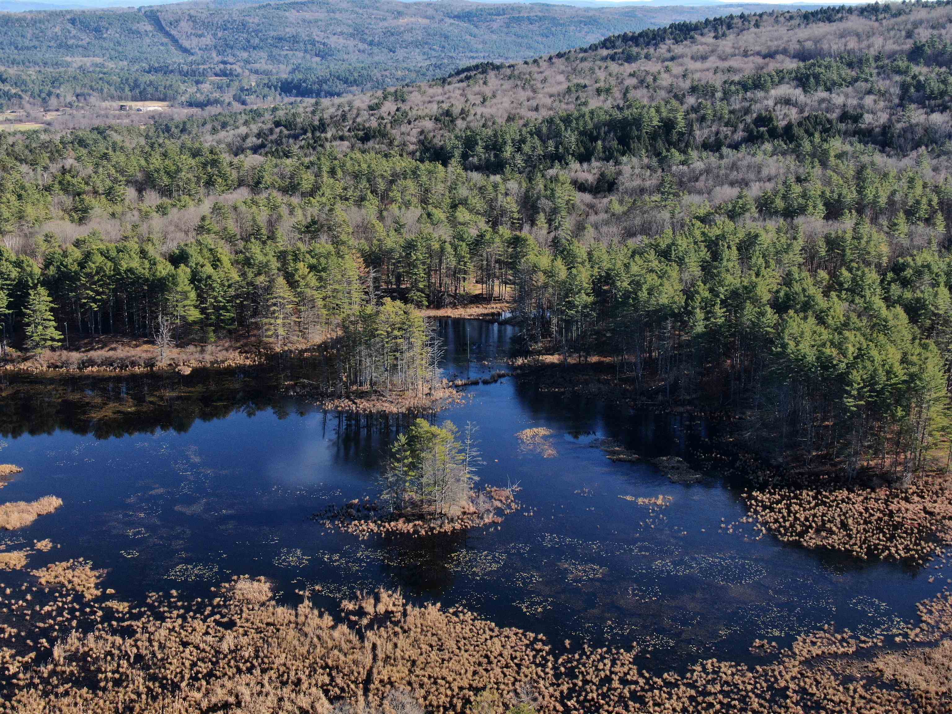 Giant natural pond...check out the wildlife list 23164631