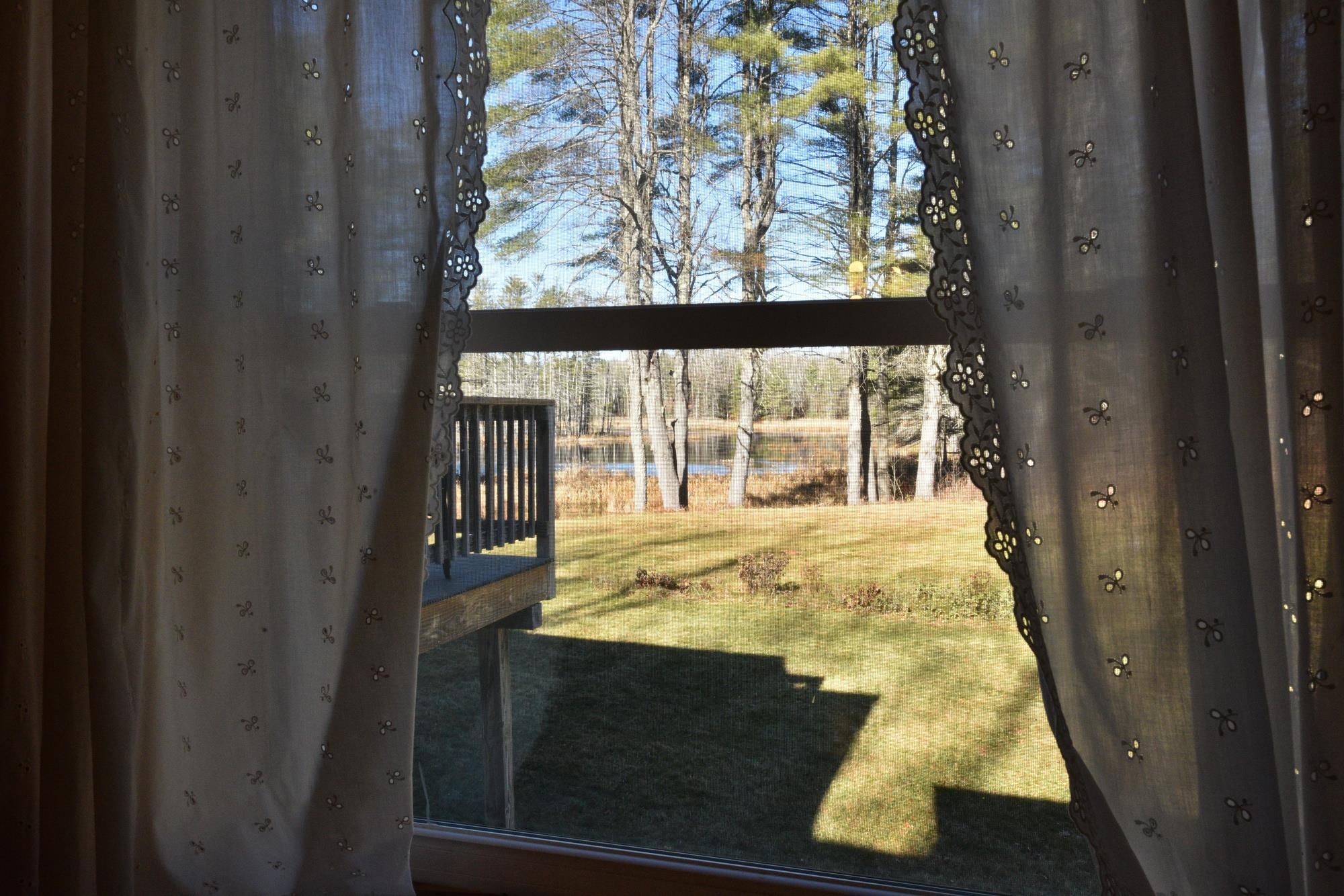Back yard view toward the pond 23164664