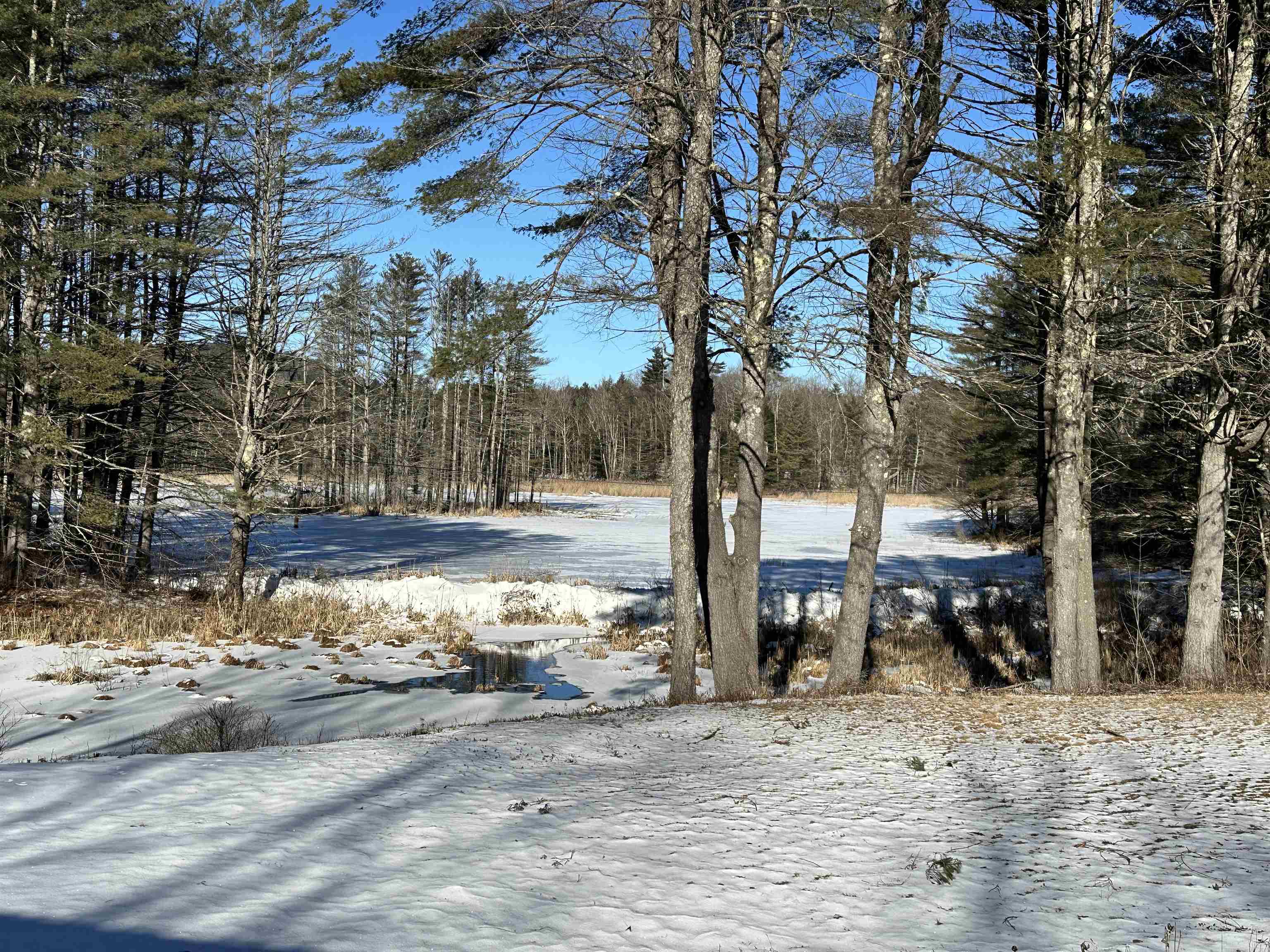Beautiful no matter what the season! 23164633