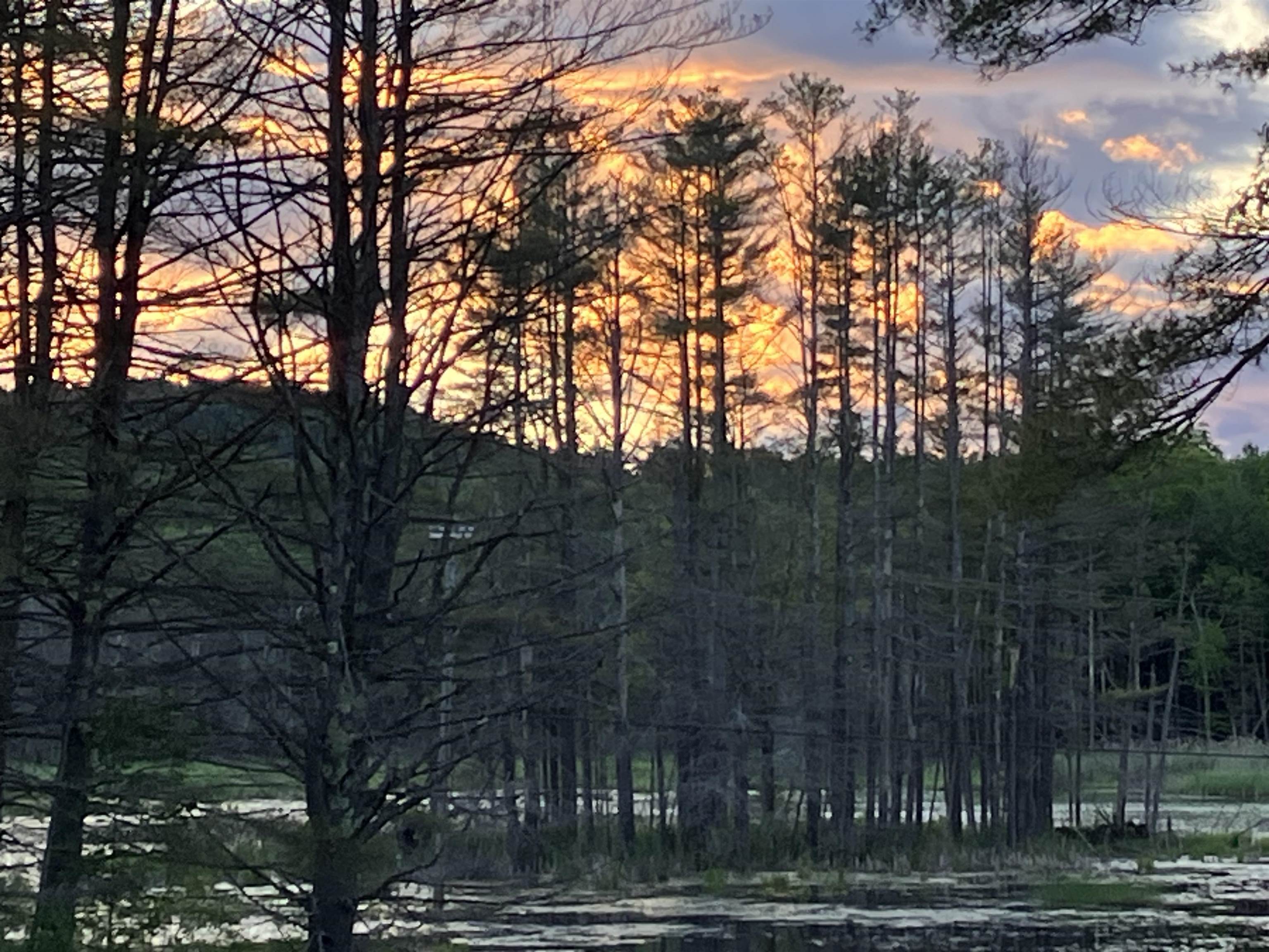 Sun rising over the pond 23164676
