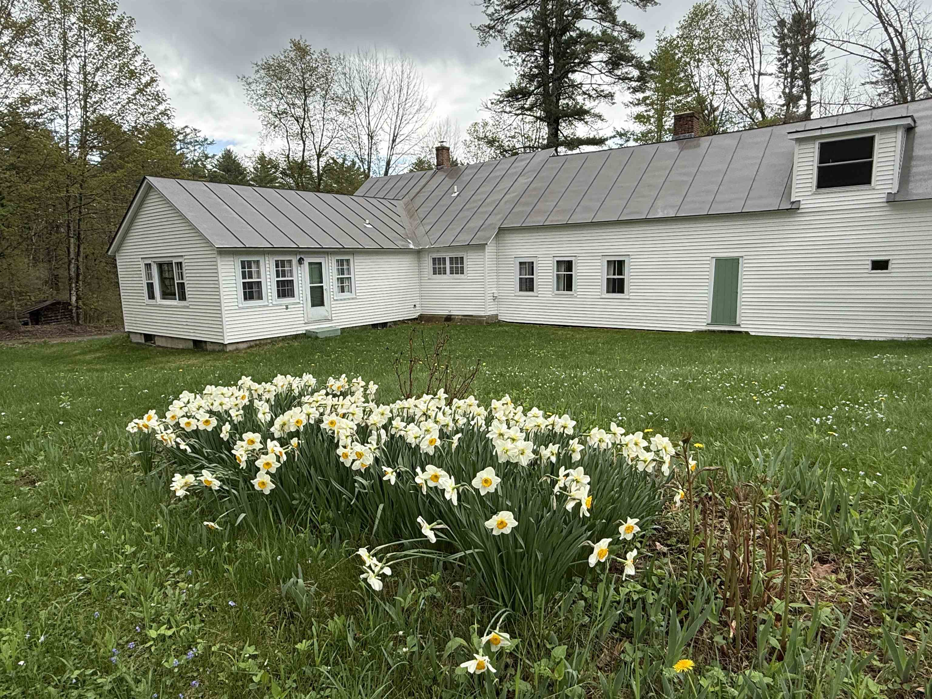 Spring! 23164811