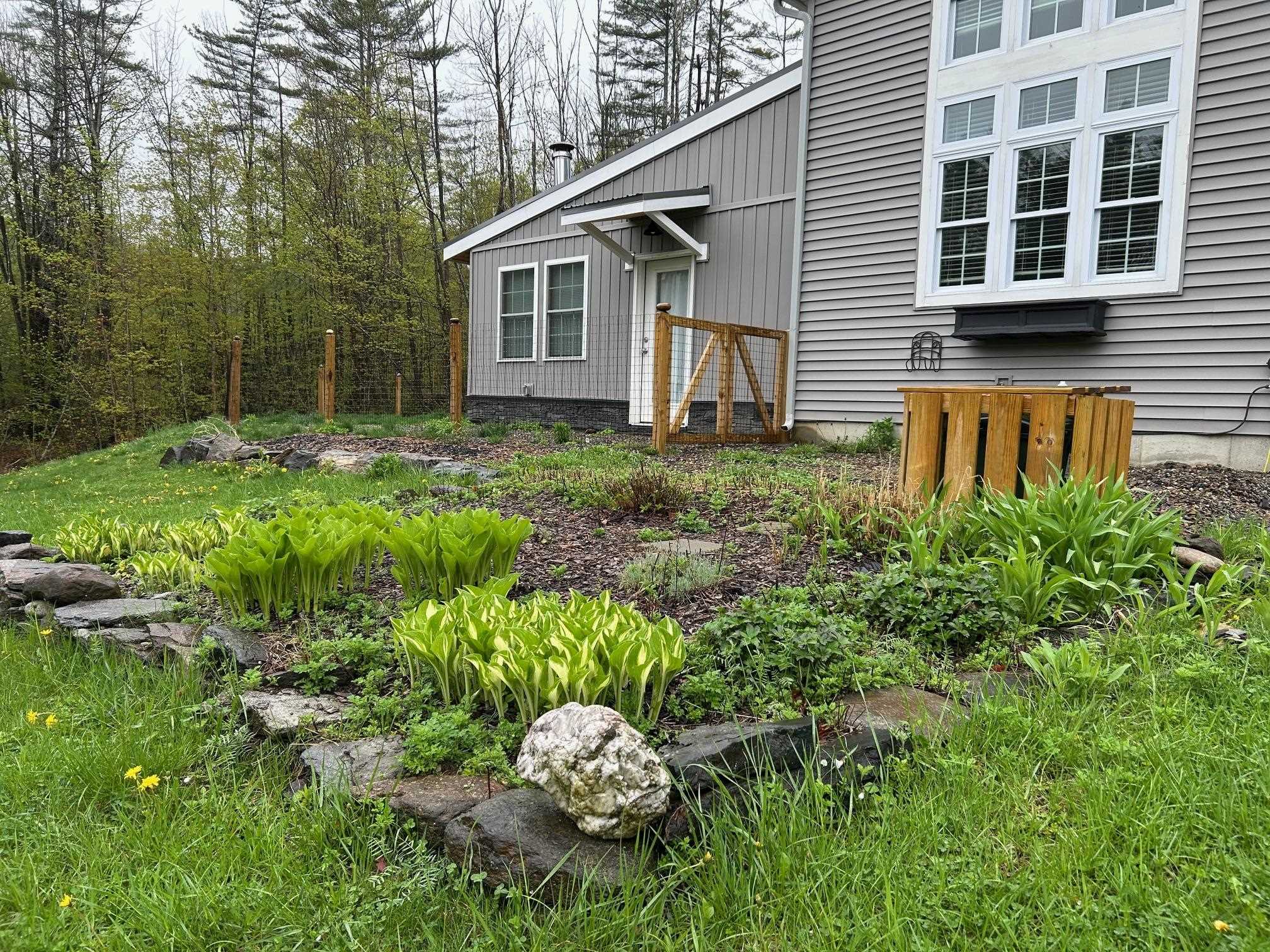 Perennials 23155397