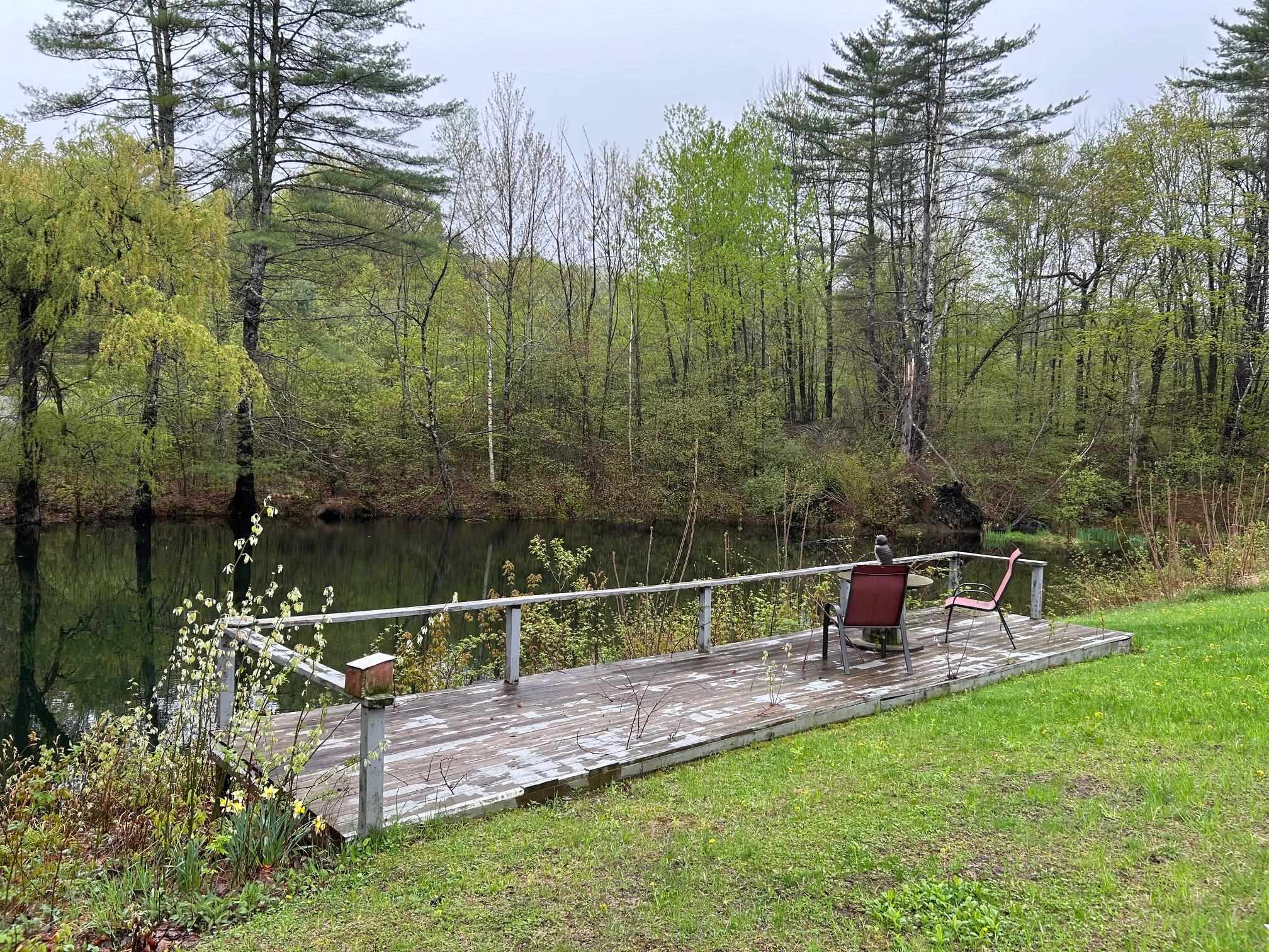 Cocktails by the pond? 23155297