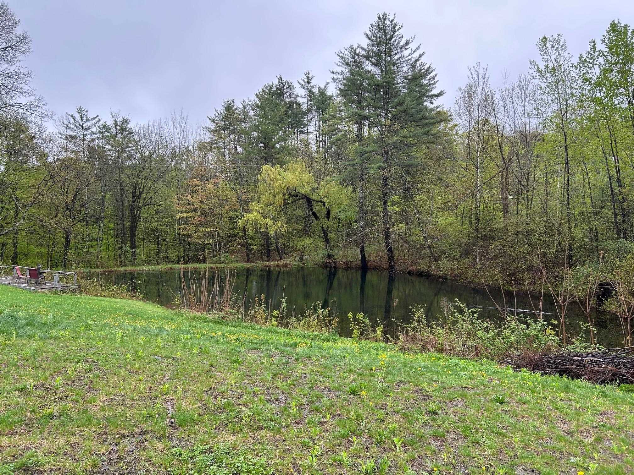 Pond 23155306