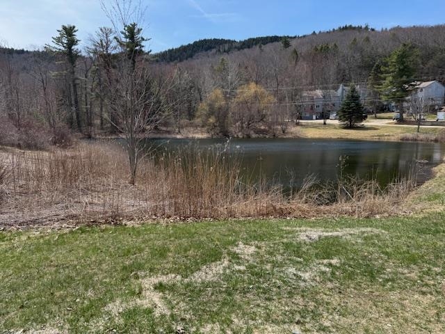 Pond and views