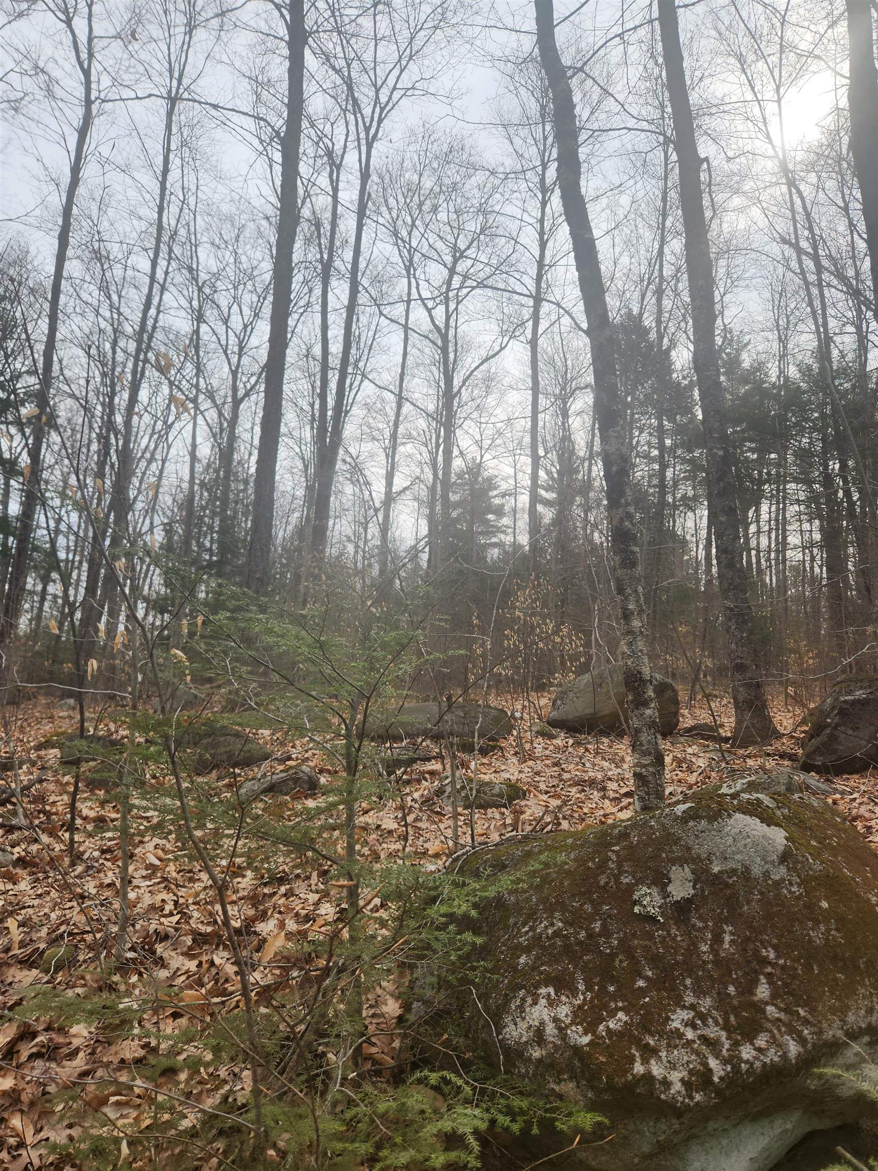 Photo of 0 Attleboro Mountain Road Richmond NH 03470