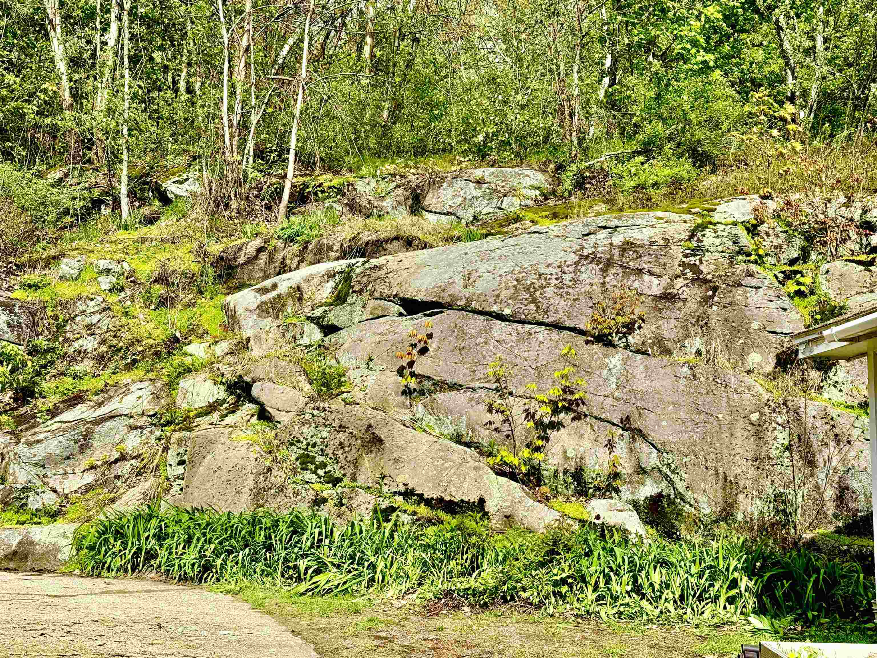 Rockscape in the backyard