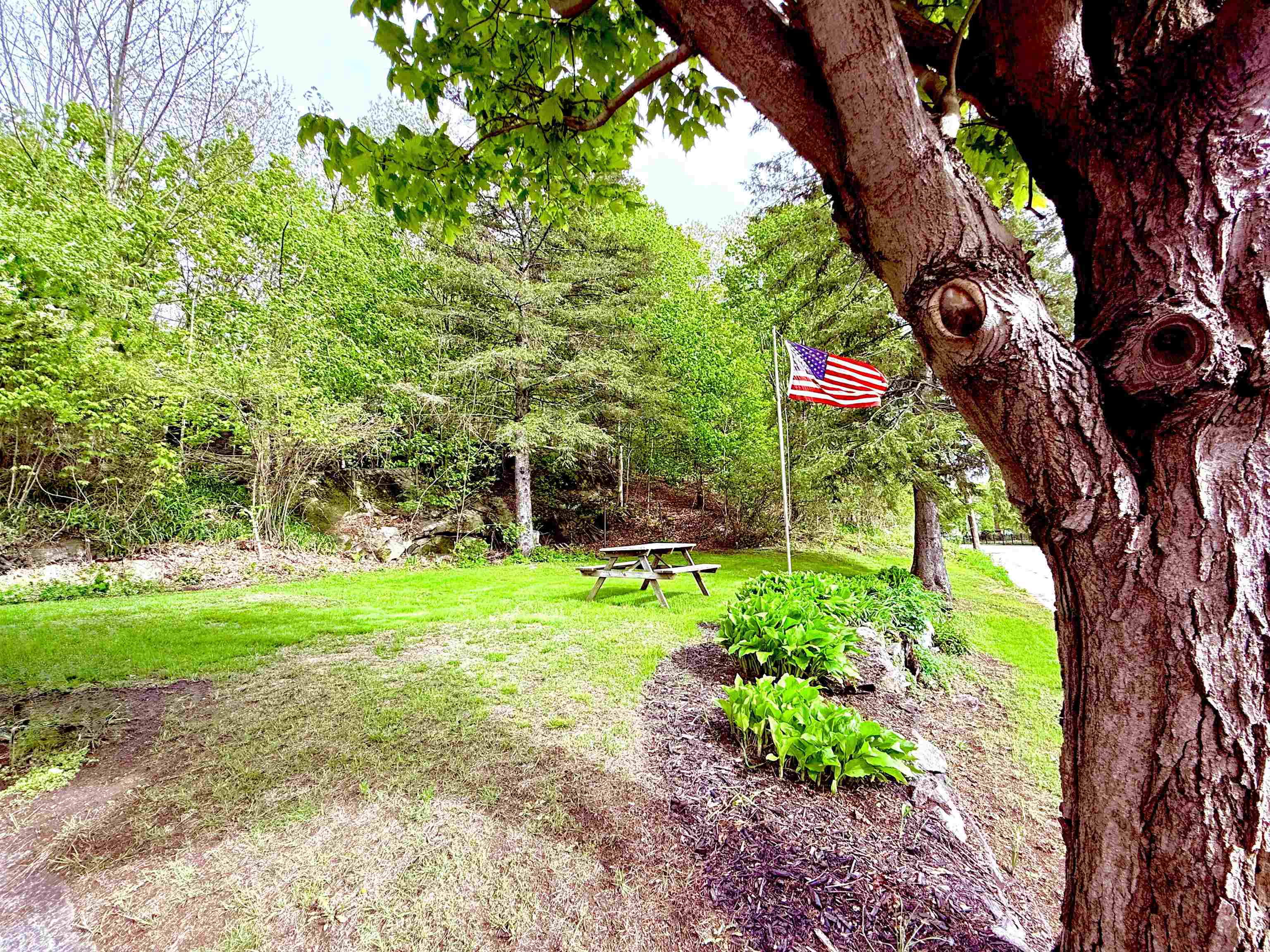 Side yard for relaxation and fun!