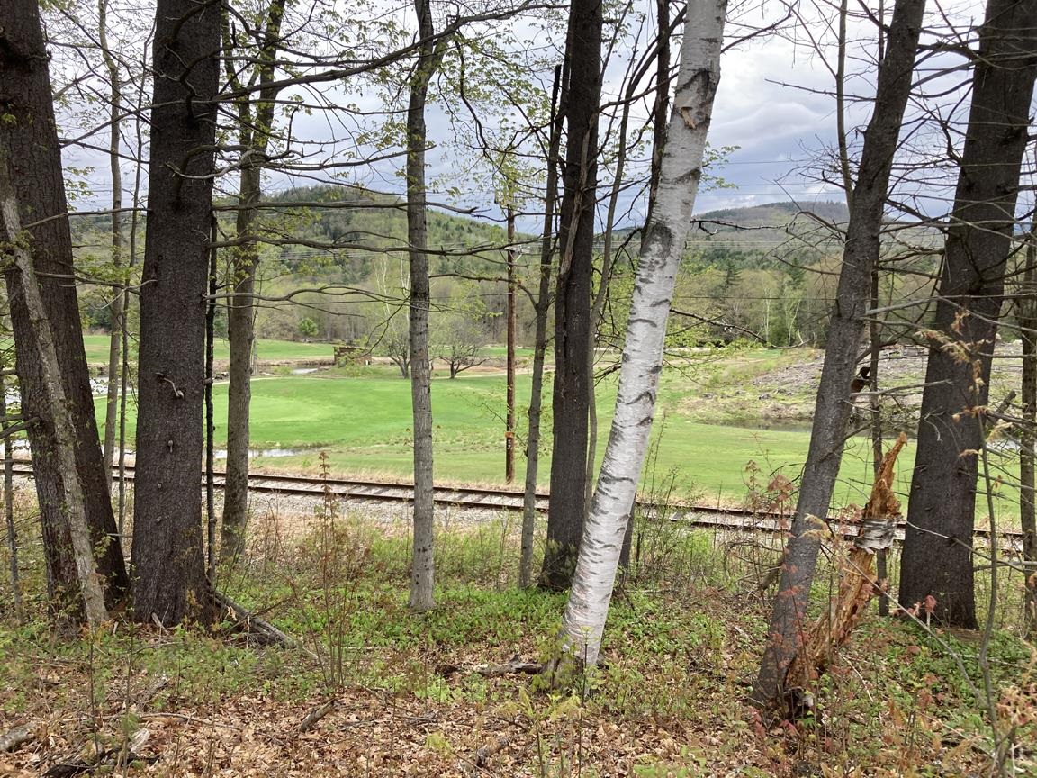 View to the golf course