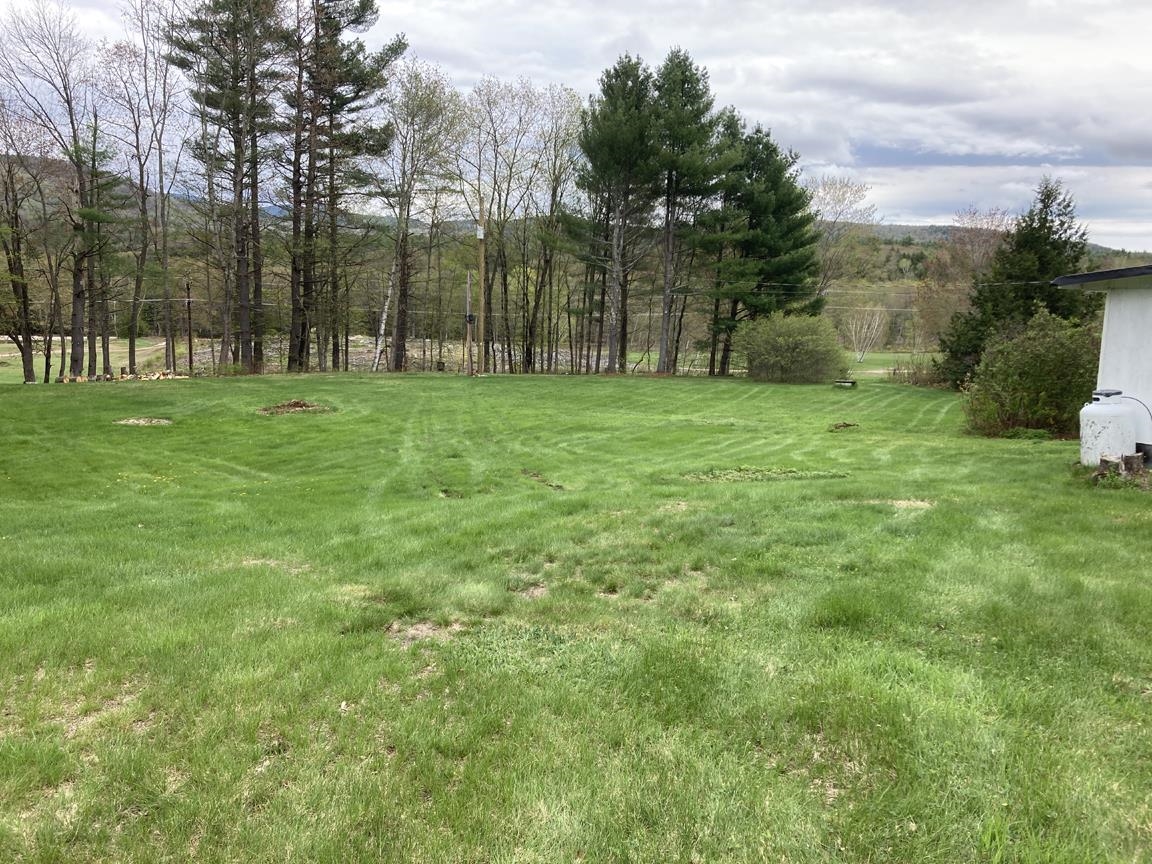 Large yard