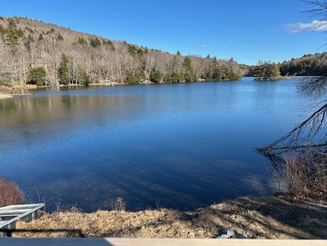 Newbury NH All Apartments and Housing  for sale