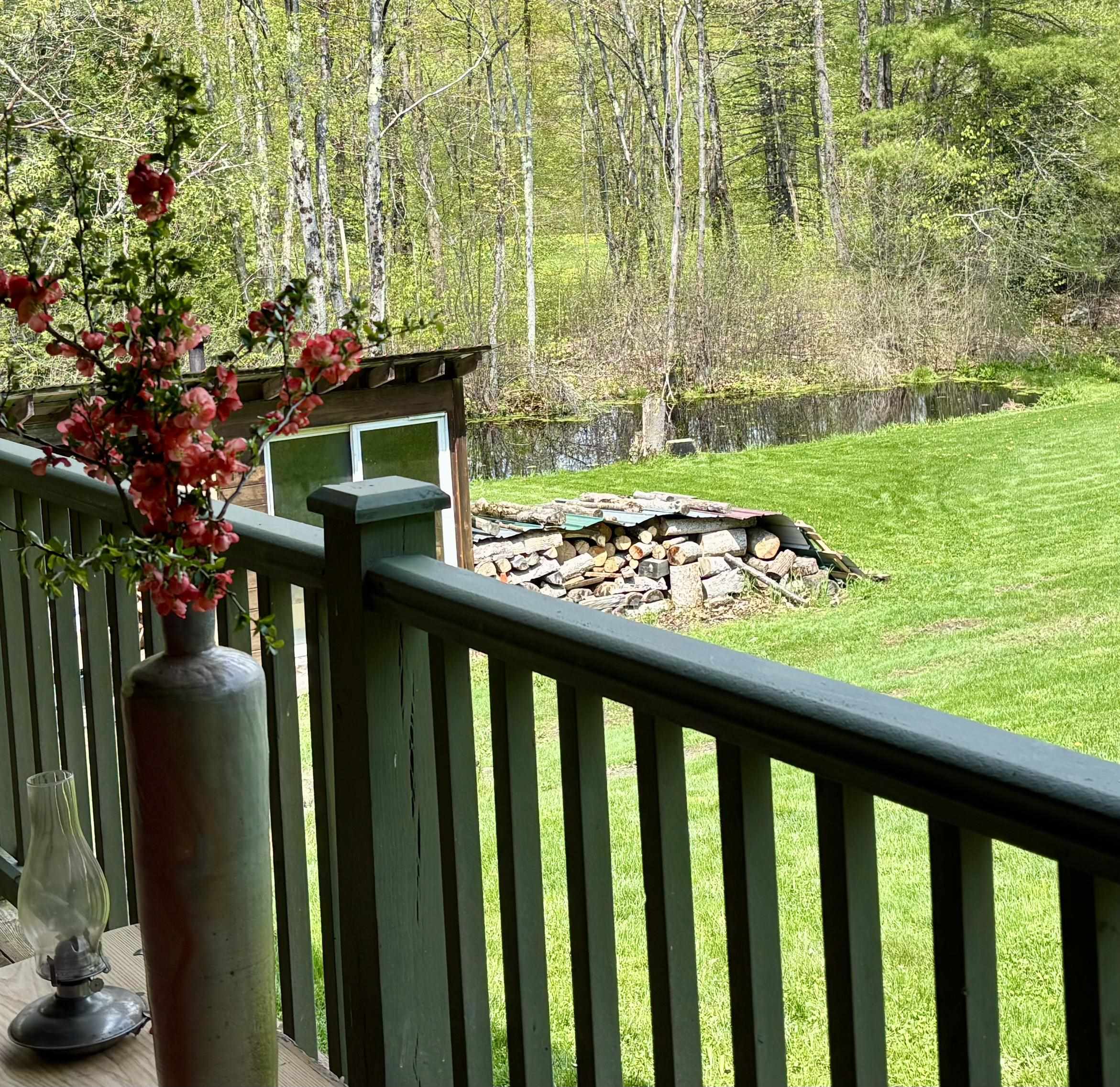 Wildlife pond, view from the porch