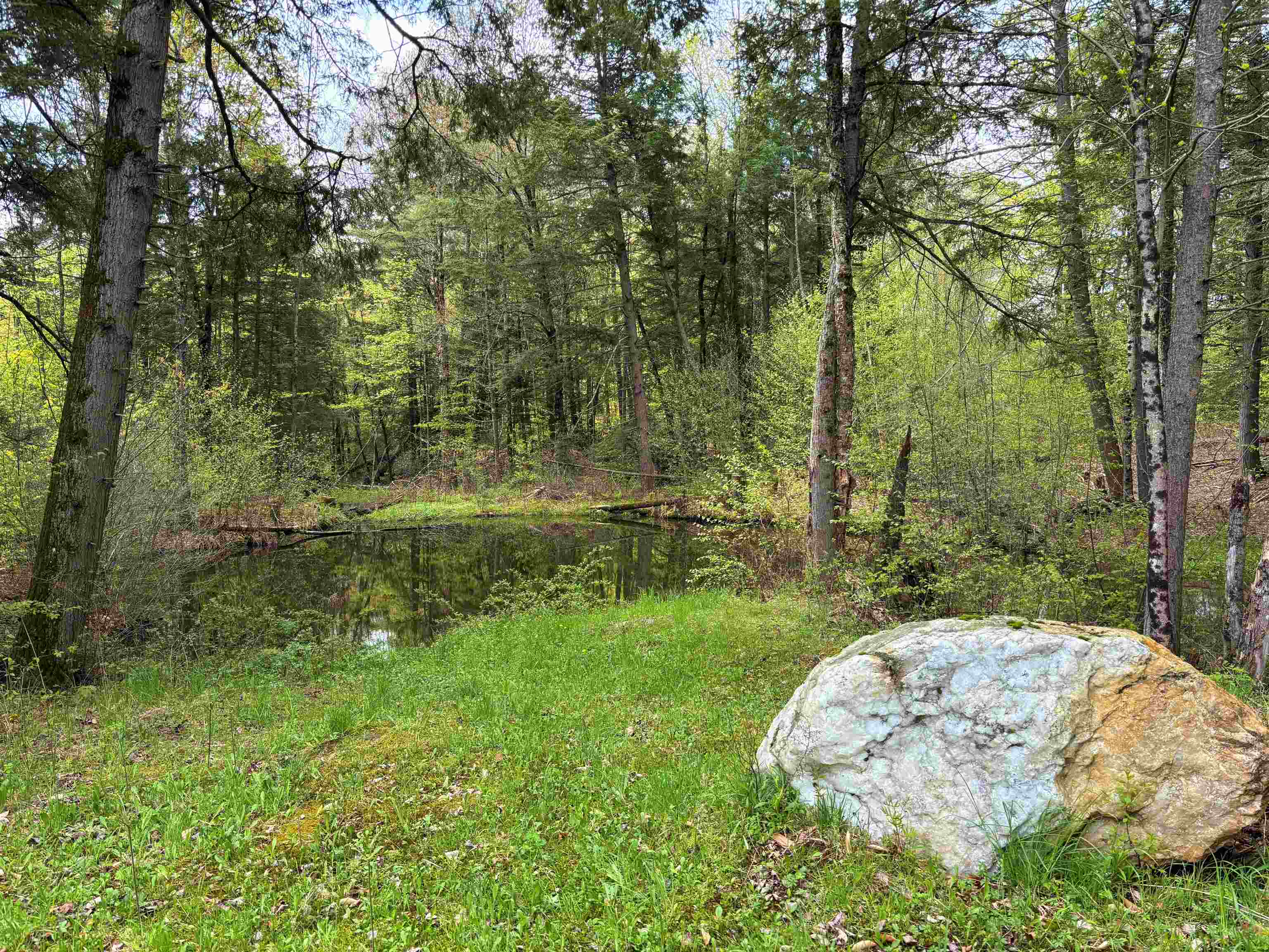 Pond for cooling off in the summer