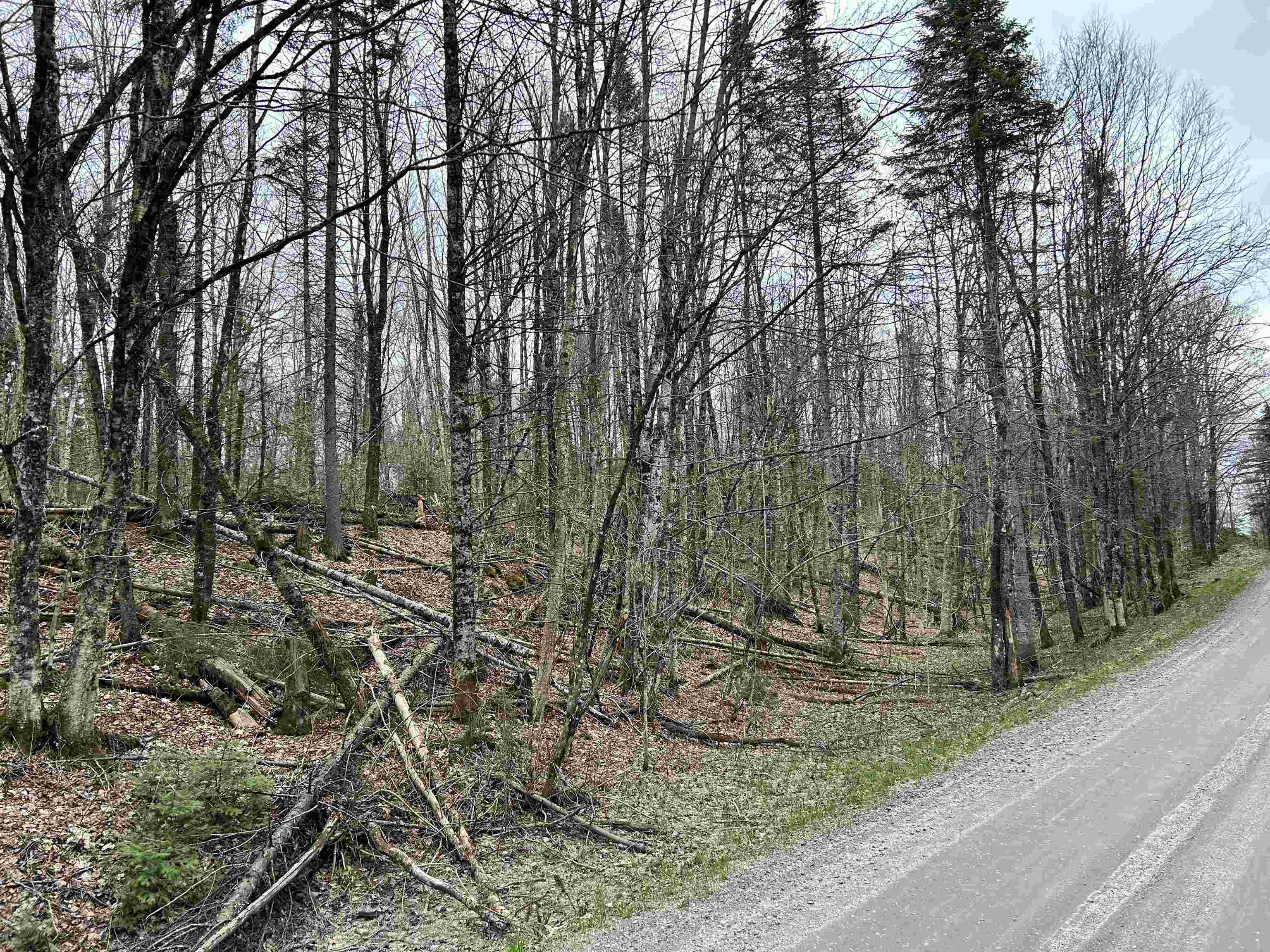 Homes for sale in Glover, VT | 0 Andersonville Rd, Glover, VT 05875 | MLS# 5040748