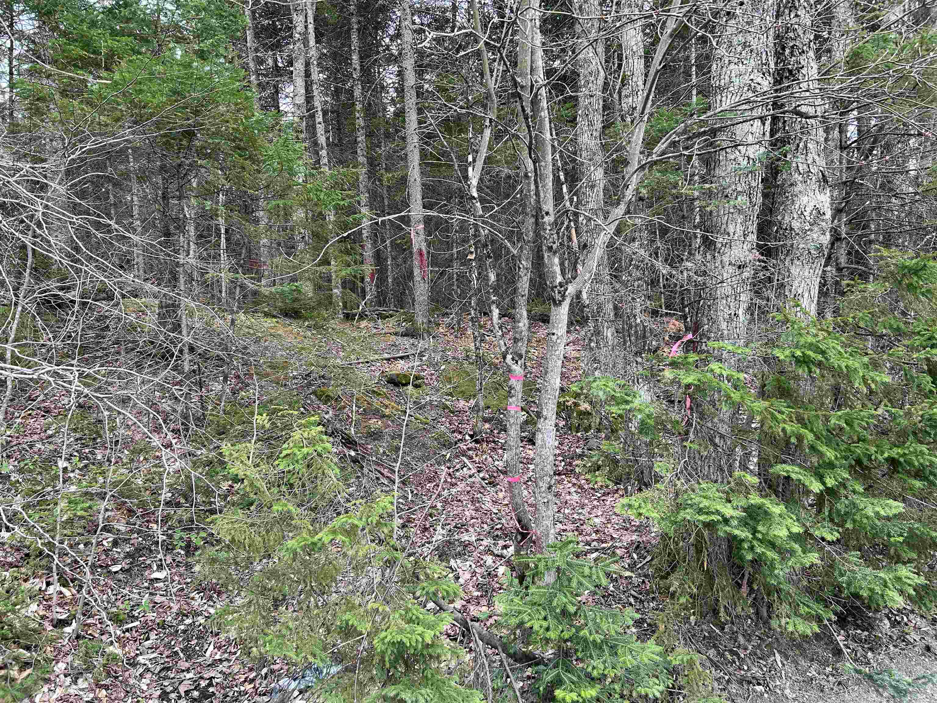 Homes for sale in Glover, VT | 0 Andersonville Rd, Glover, VT 05875 | MLS# 5040748