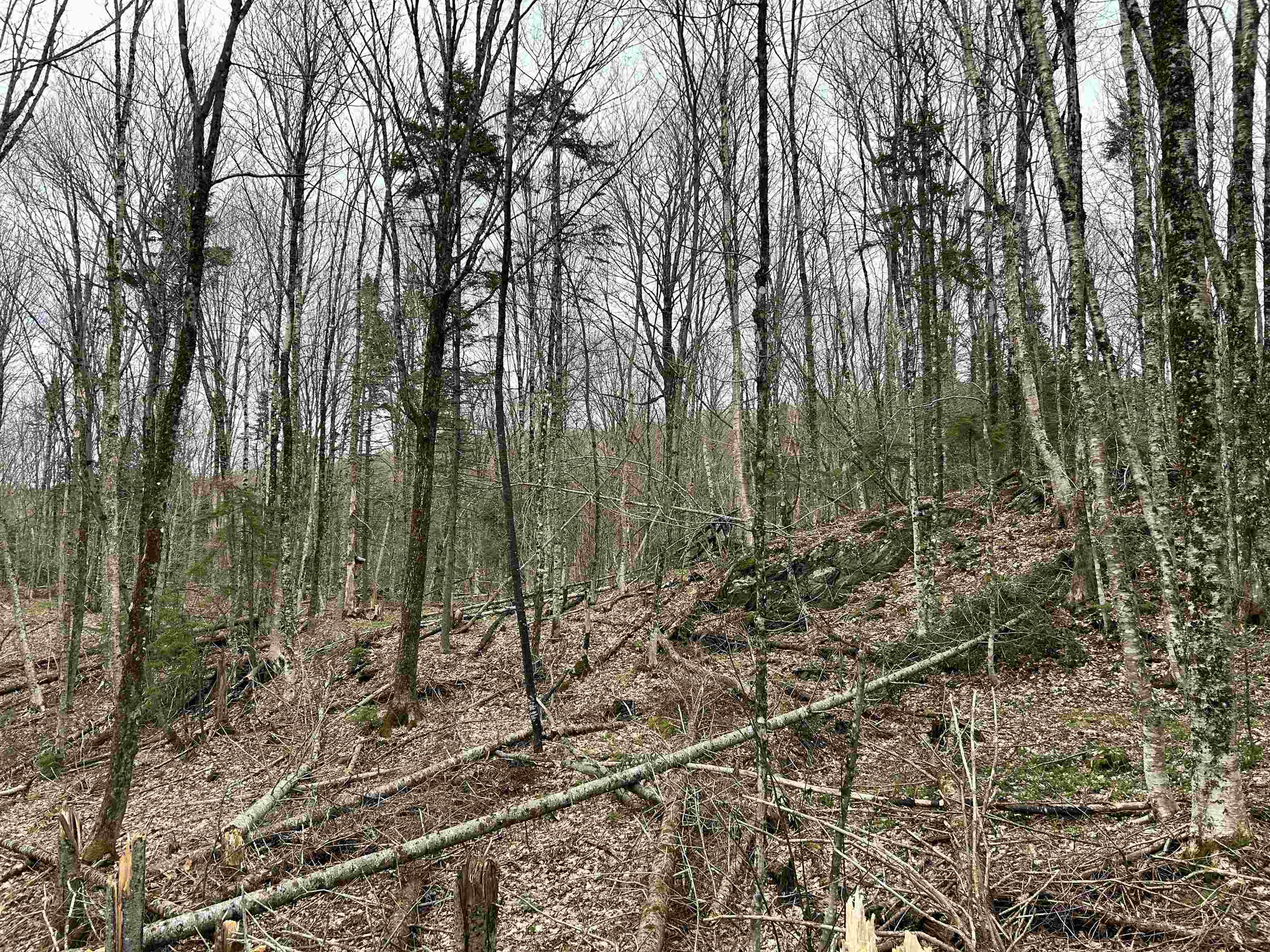 Homes for sale in Glover, VT | 0 Andersonville Rd, Glover, VT 05875 | MLS# 5040748