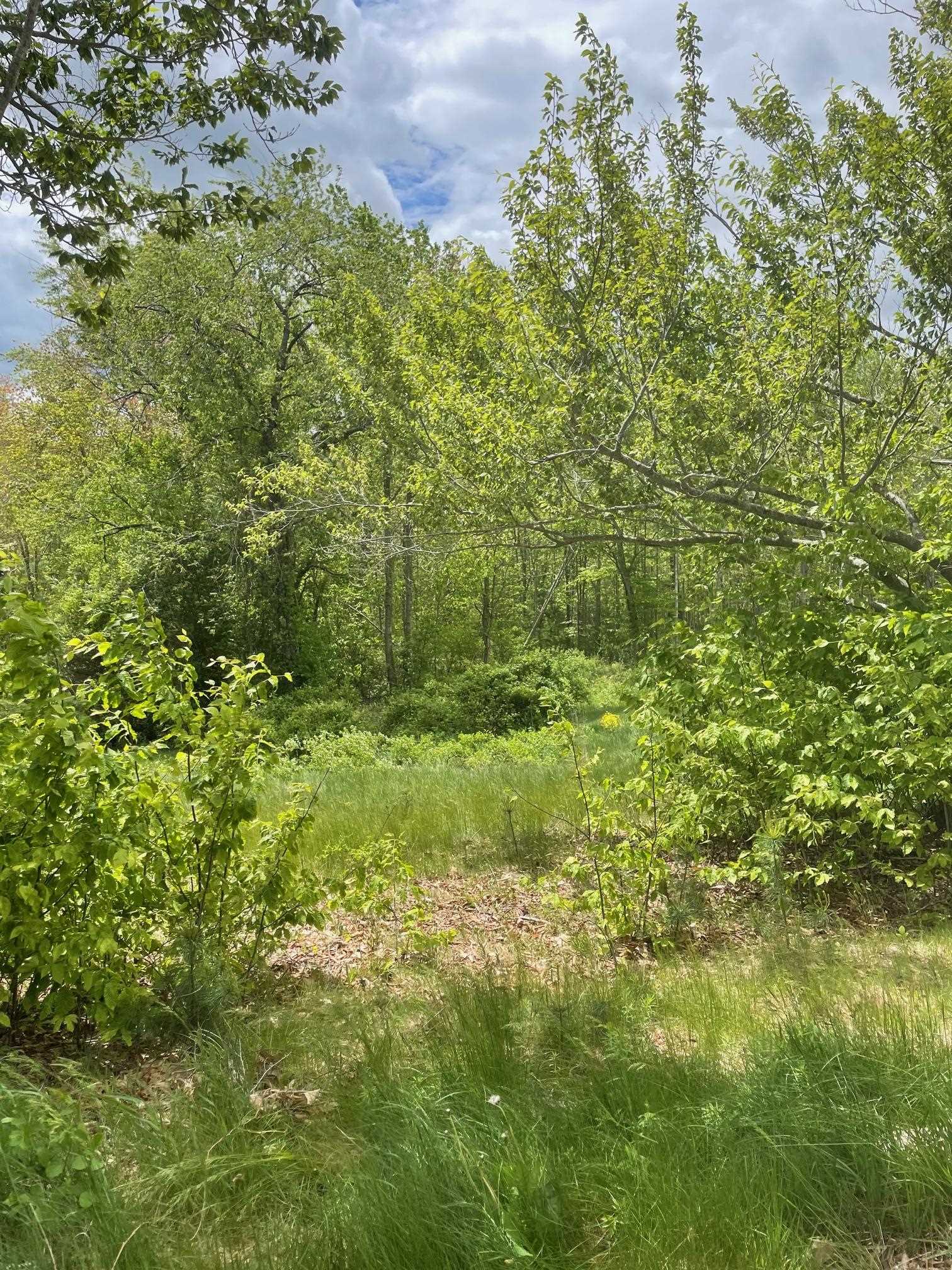 New Hampshire land Real Estate