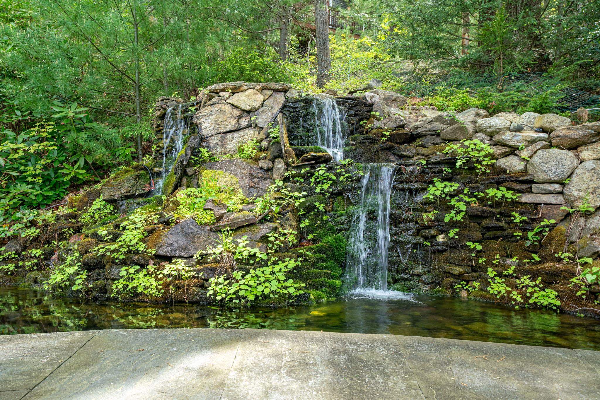 KOI Pond 23214734