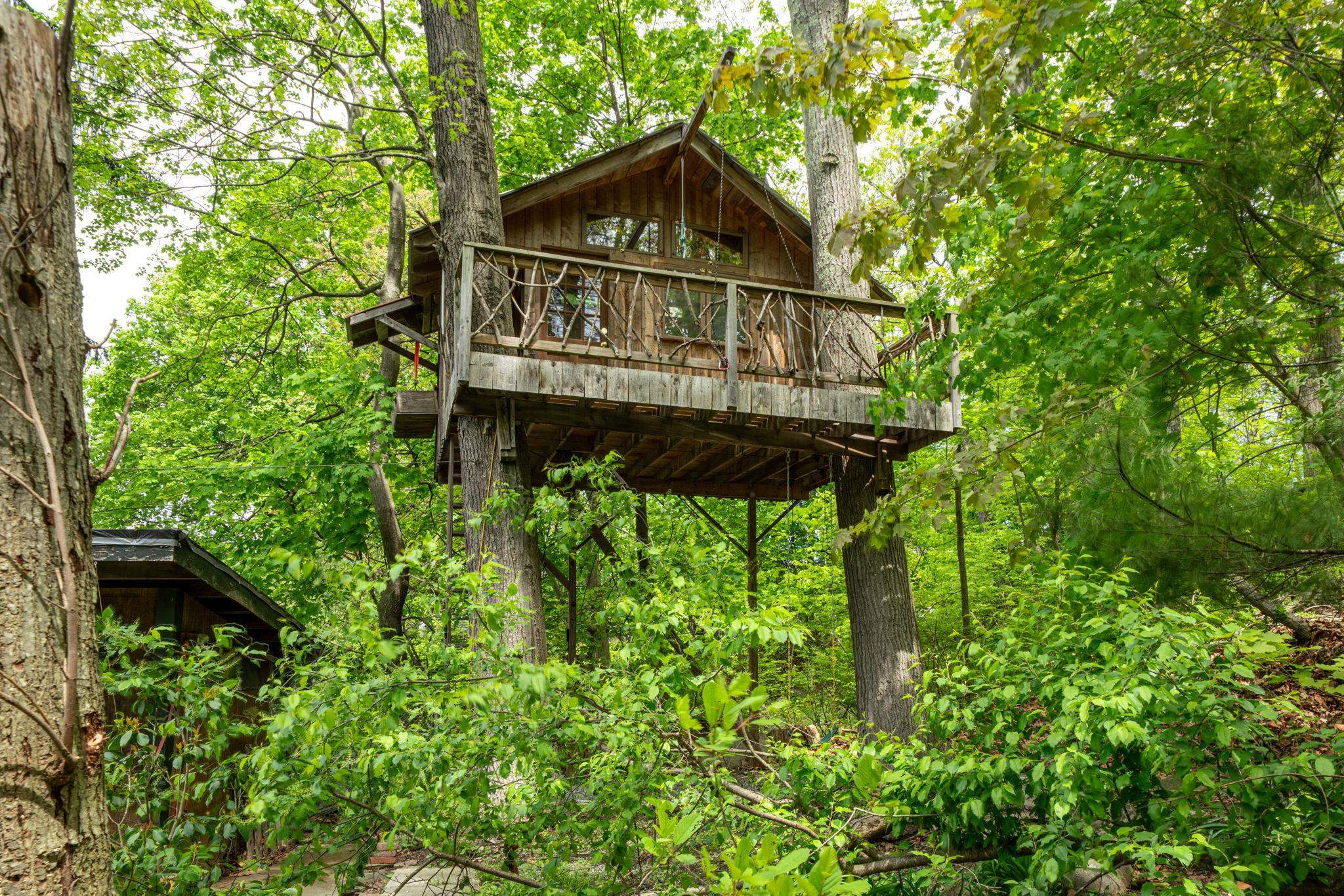 Tree House 23215496
