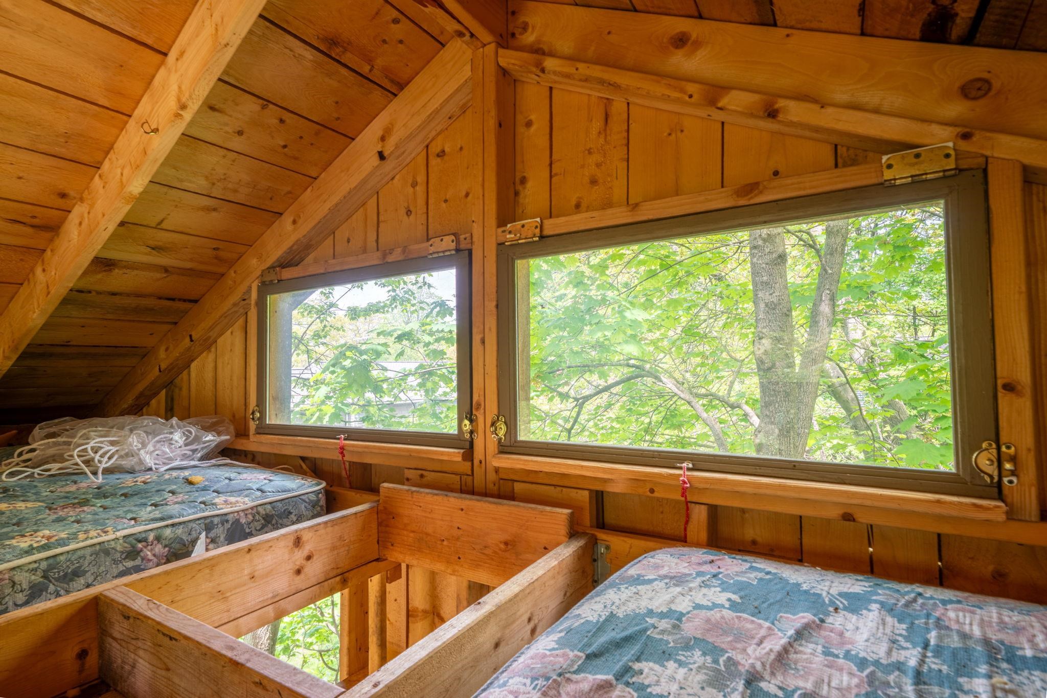 Tree house interior 23215486