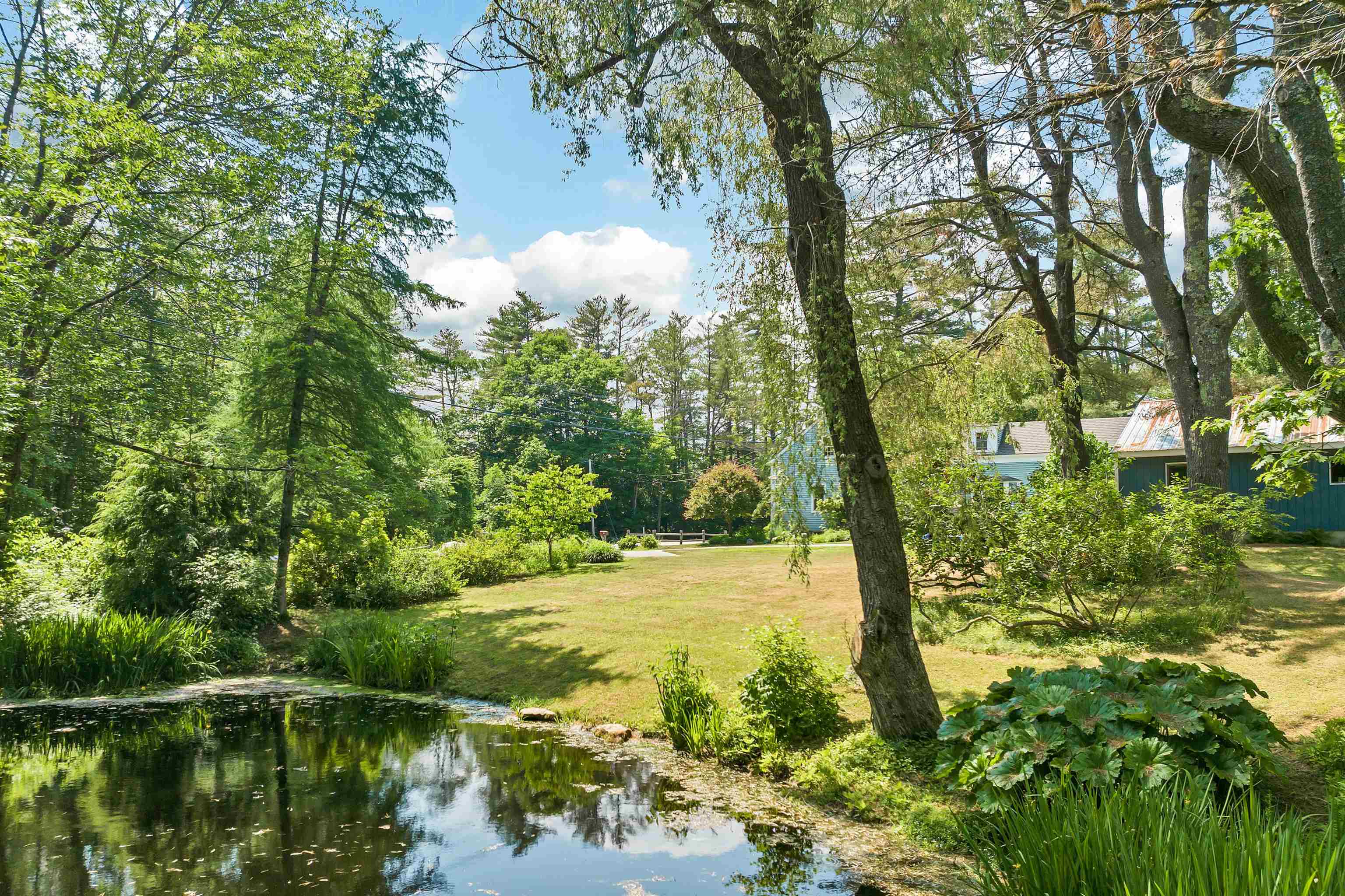 Frog Pond