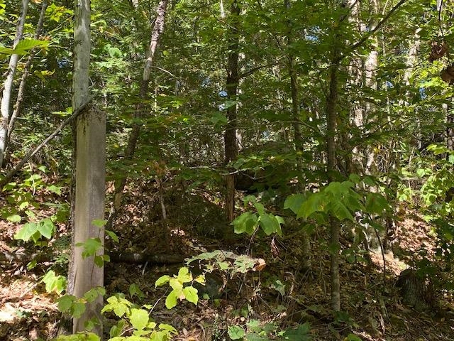 Old Railroad Marker