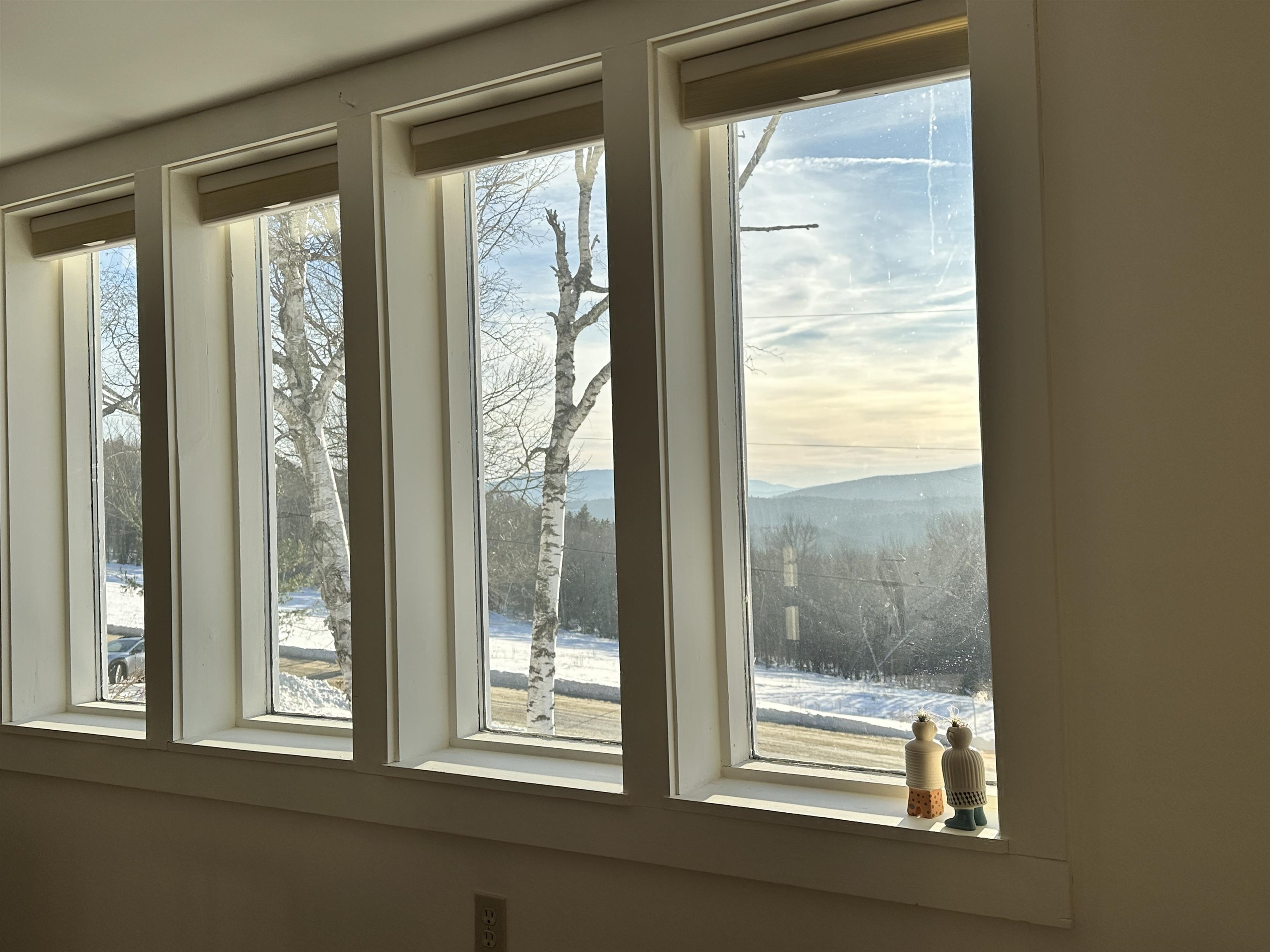 Looking out over protected lands 23218455