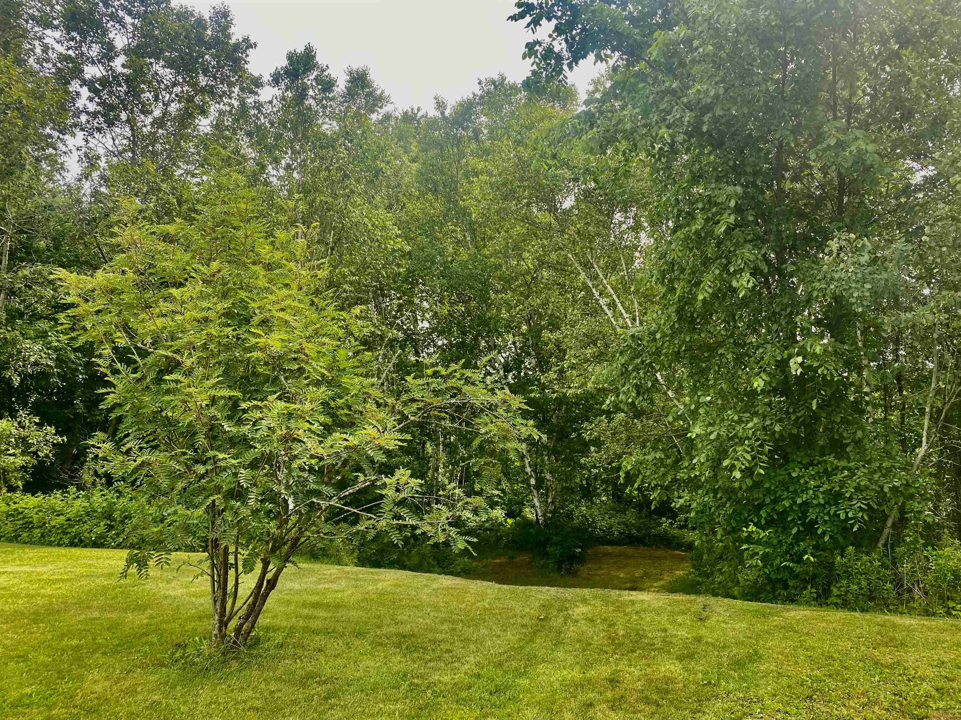 MLS #5041673 image #18