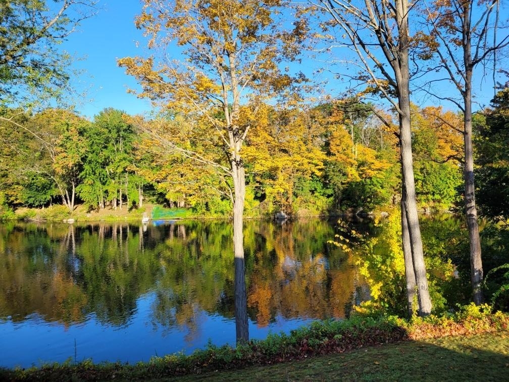 MLS #5041920 image #26