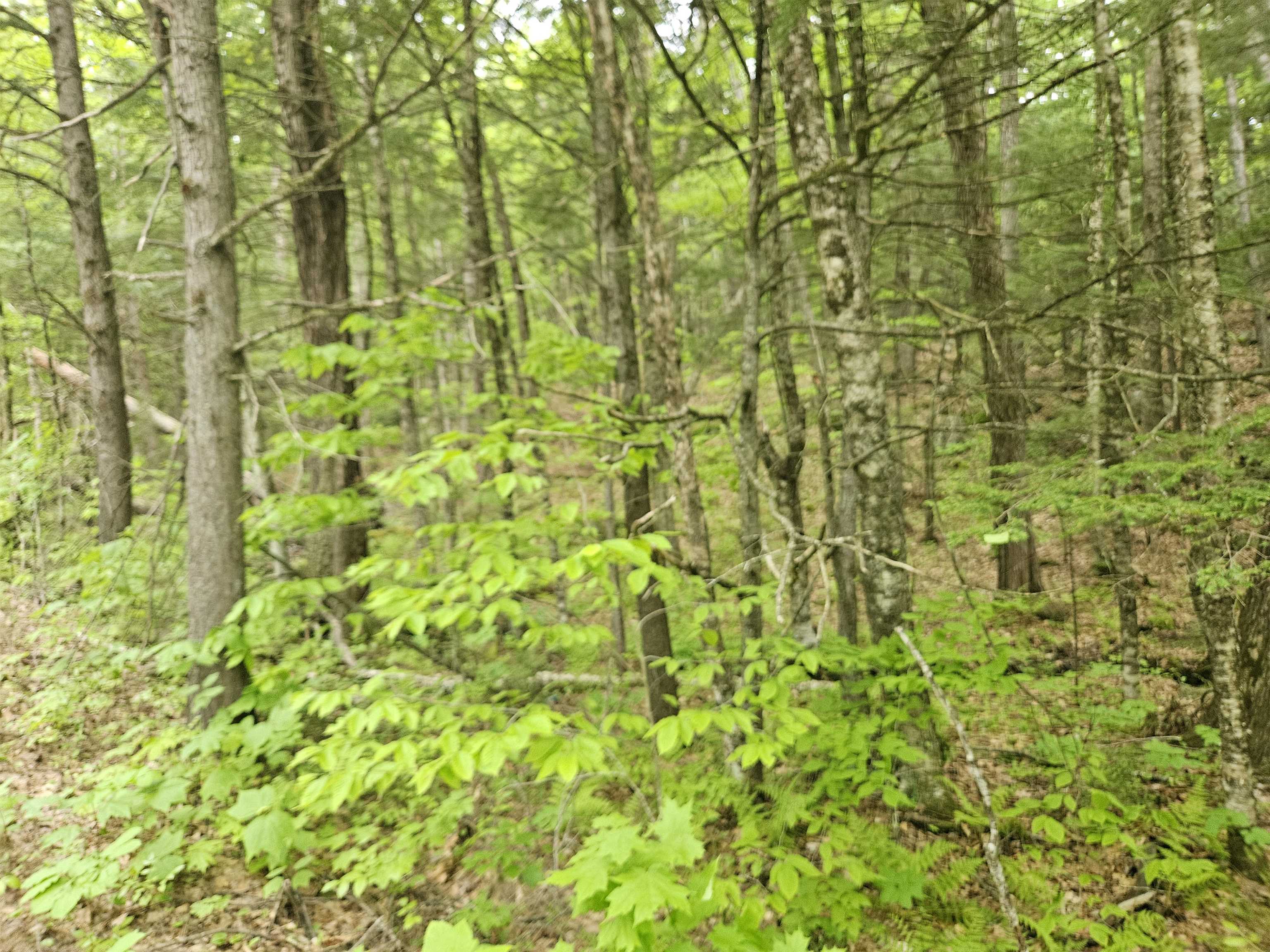 MLS #5041949 image #22