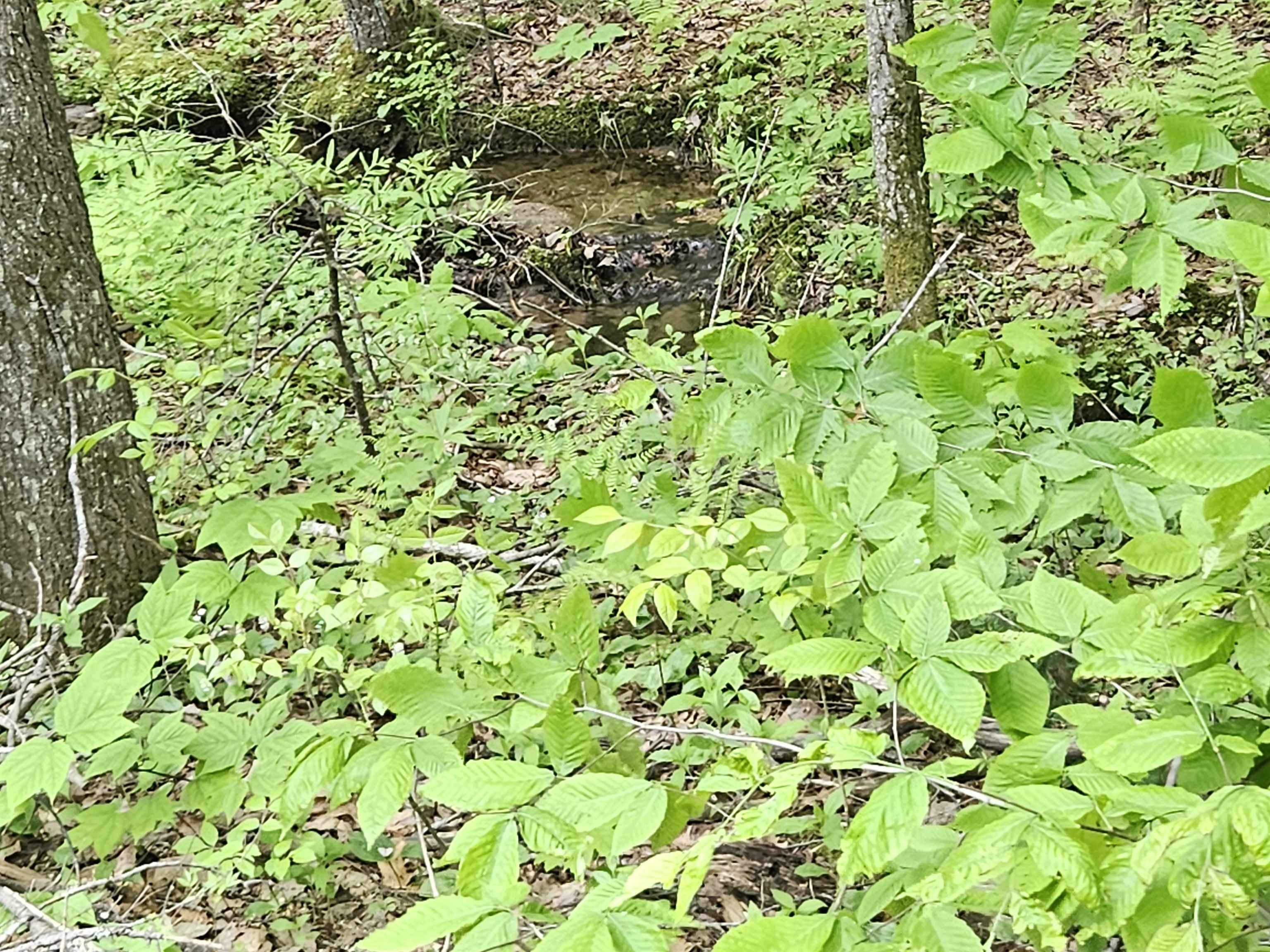 MLS #5041949 image #25