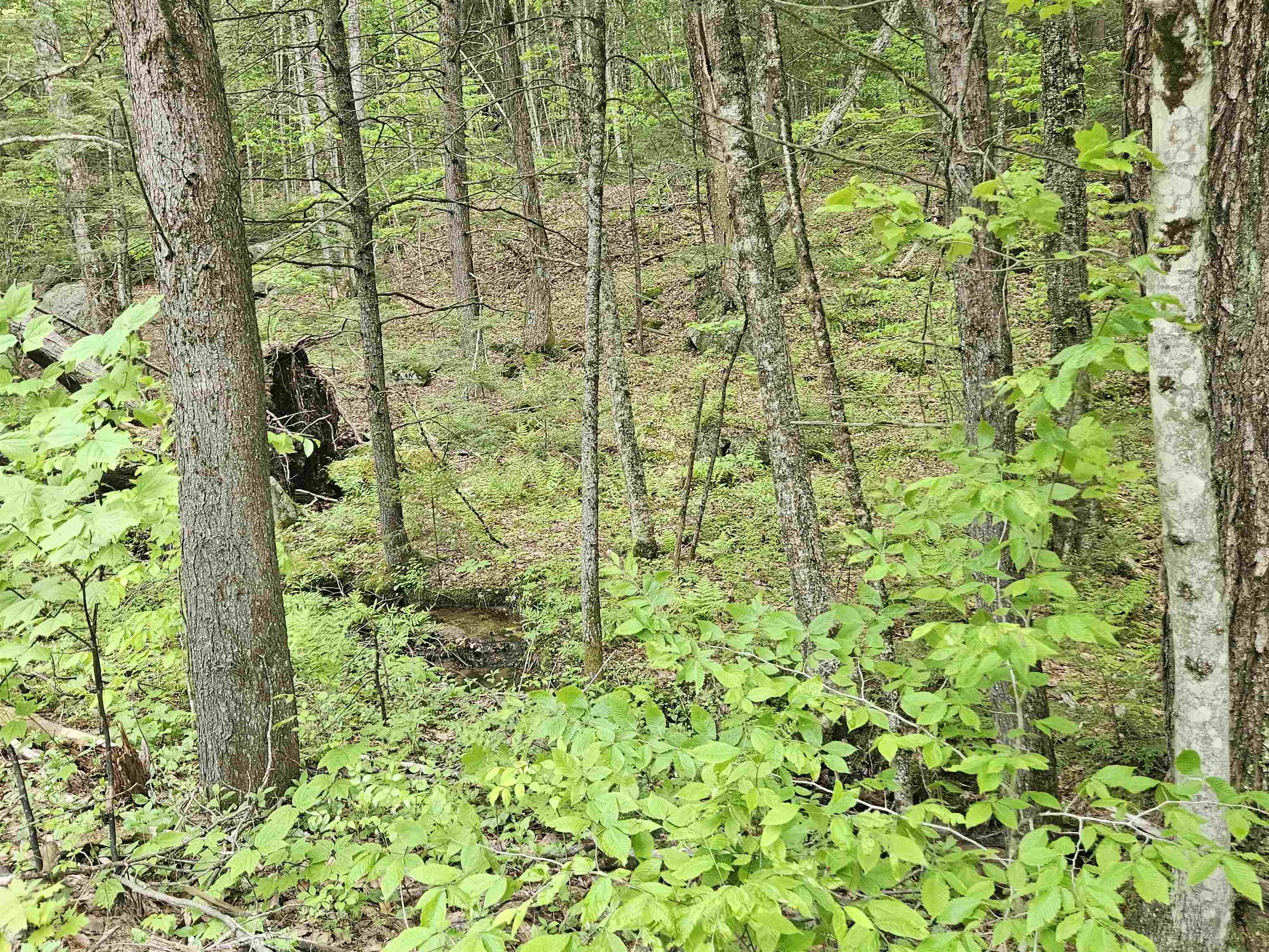 MLS #5041949 image #26