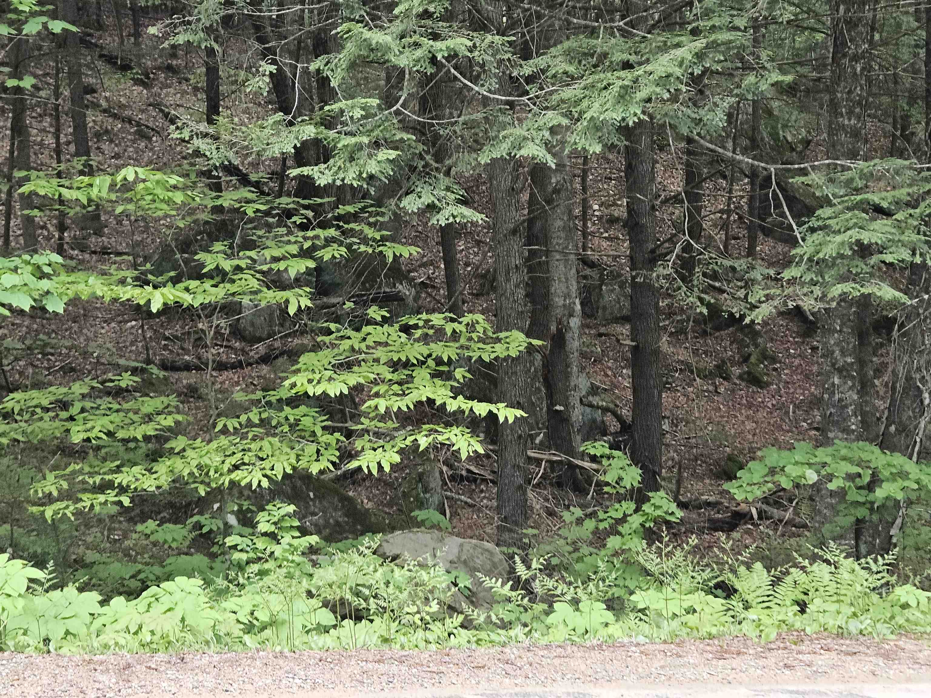 MLS #5041949 image #29