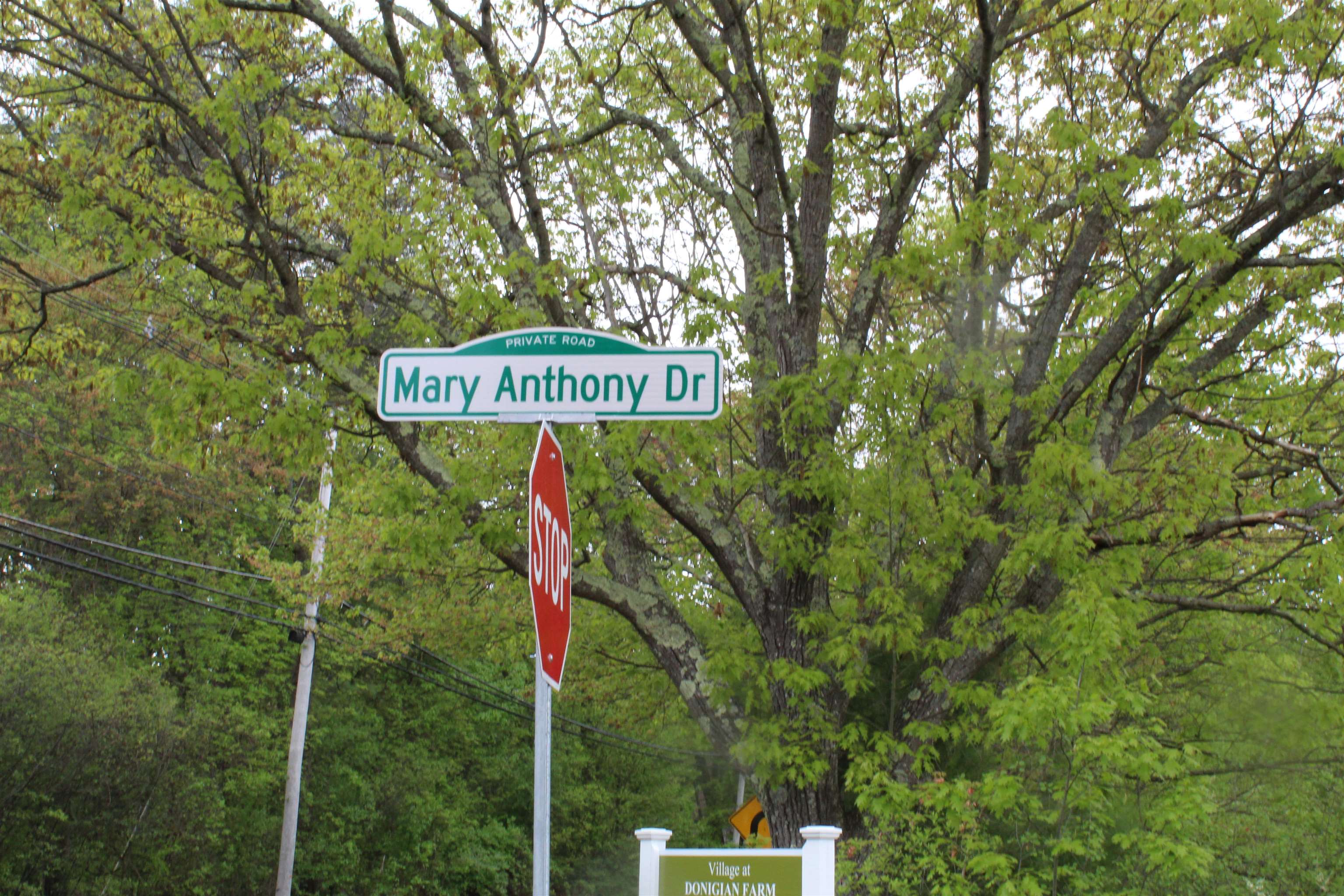 New Hampshire land Real Estate