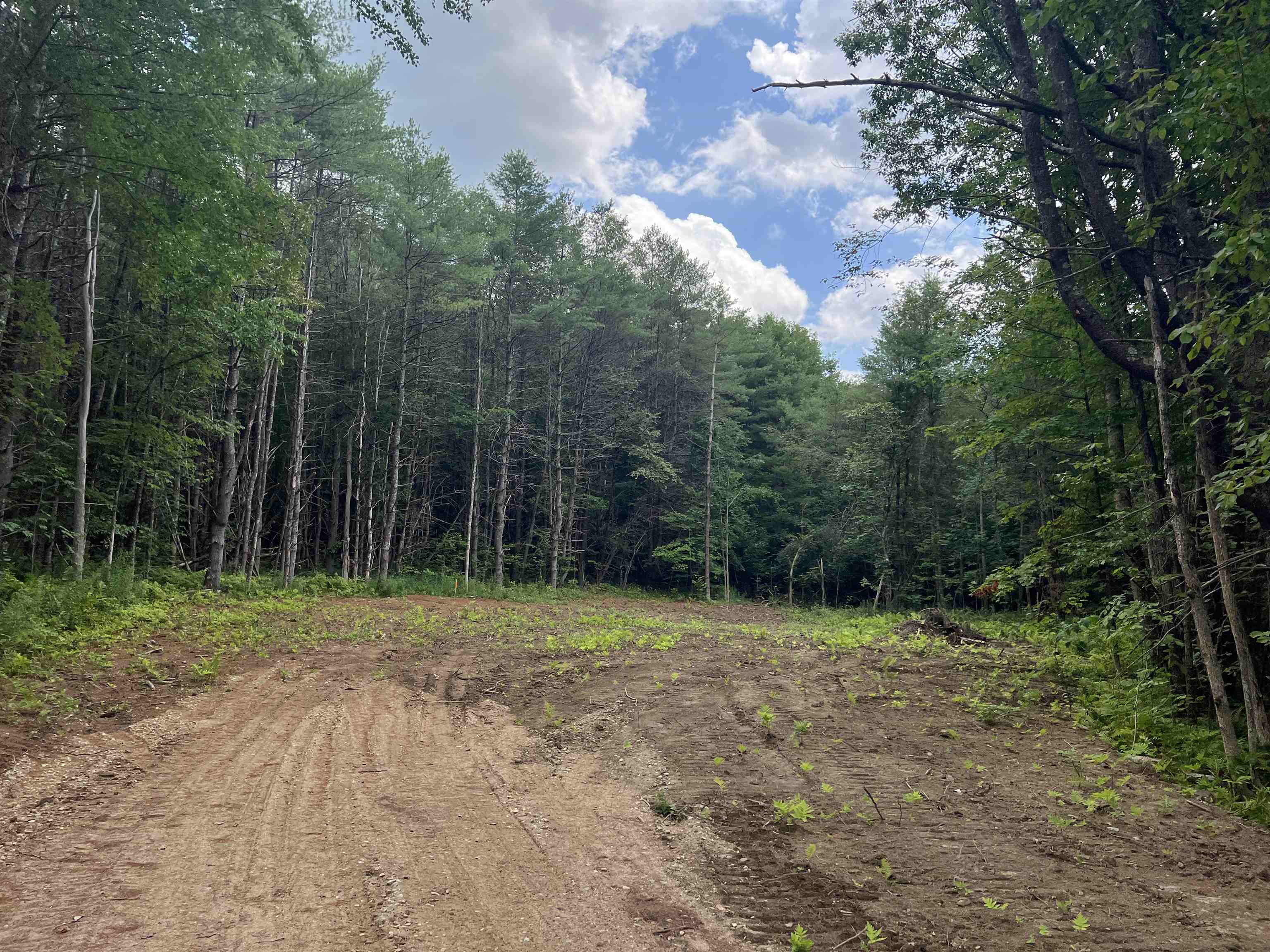 MLS #5042753 image #10