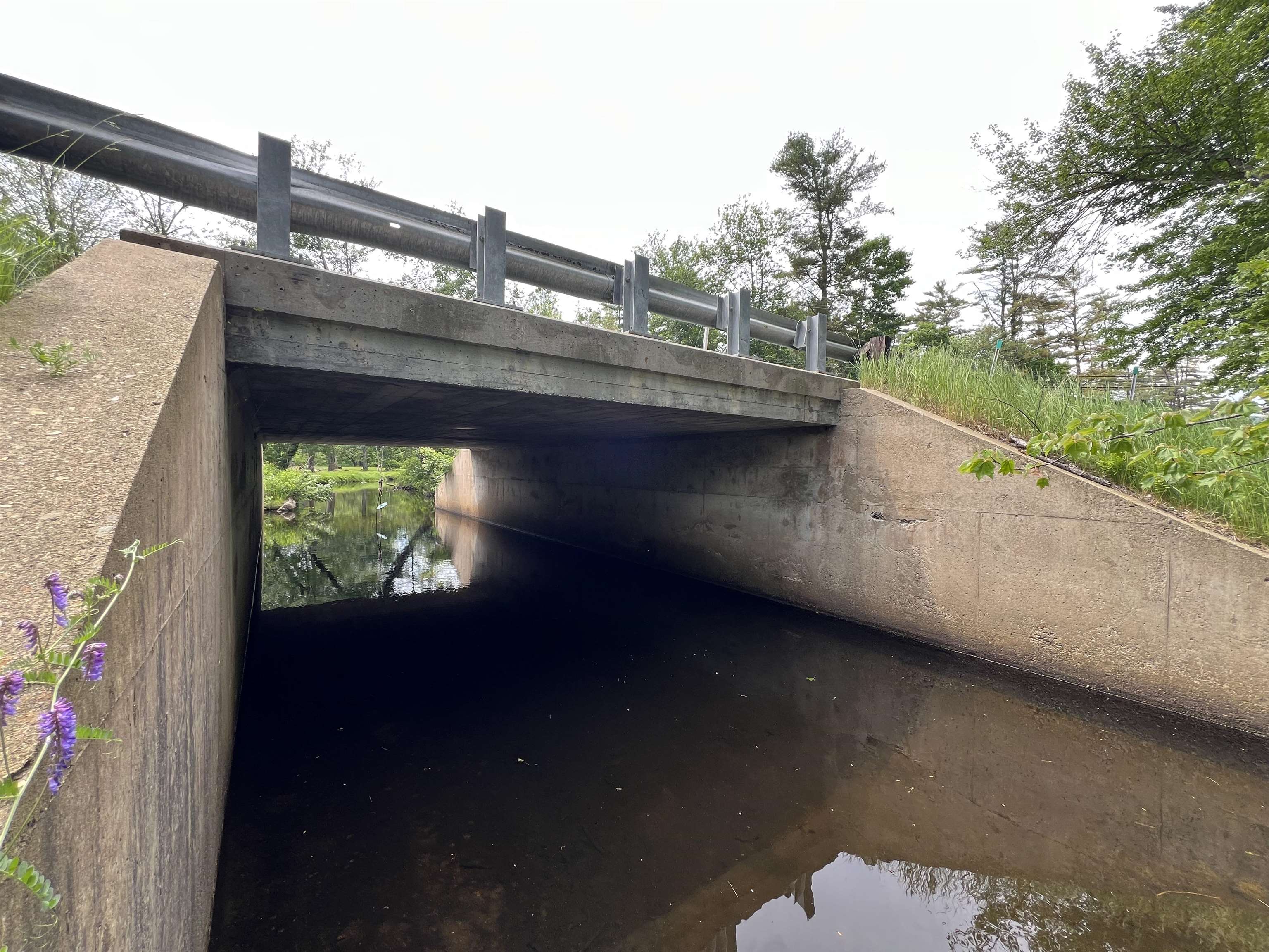 MLS #5042753 image #12