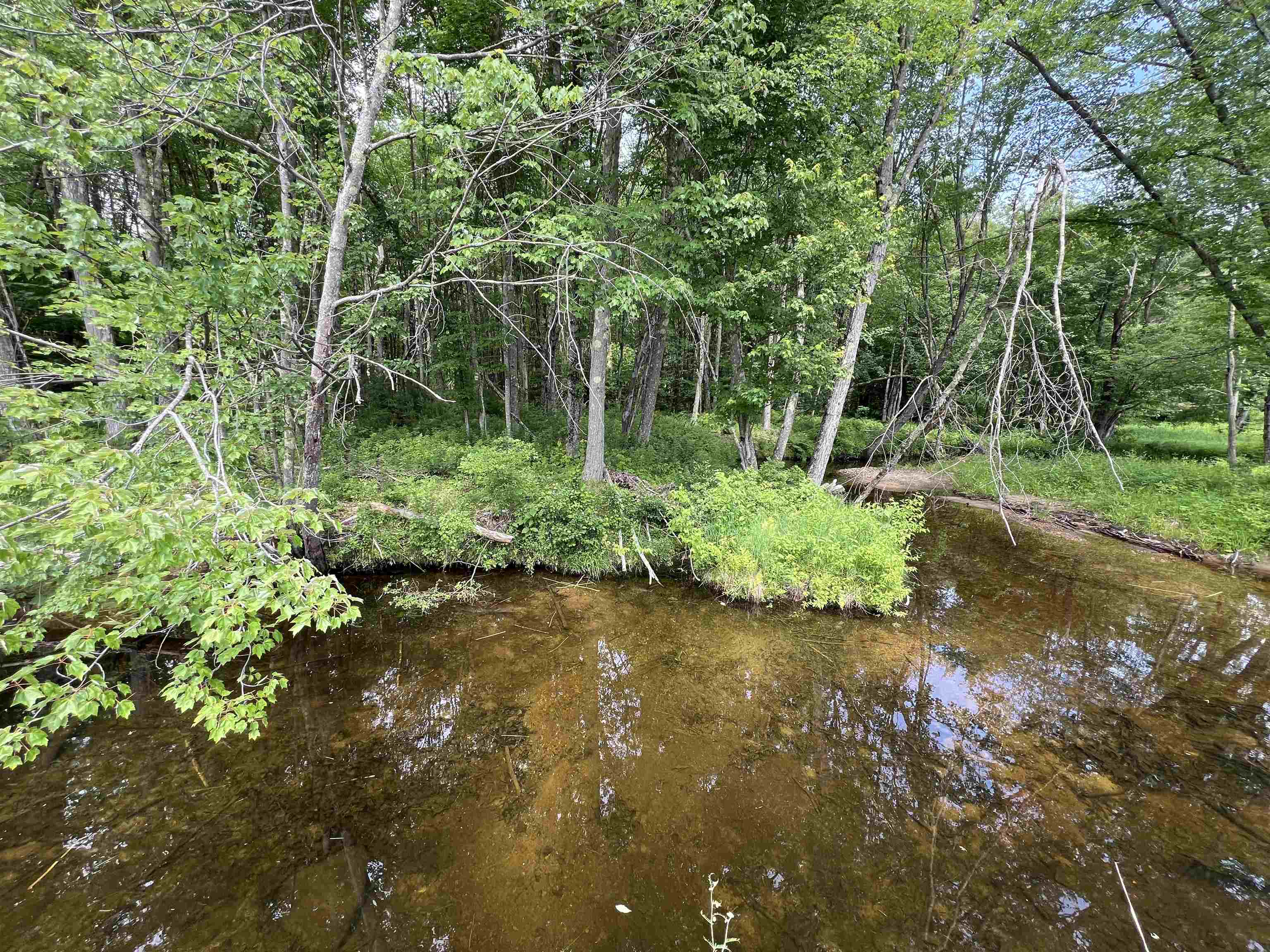 MLS #5042753 image #13