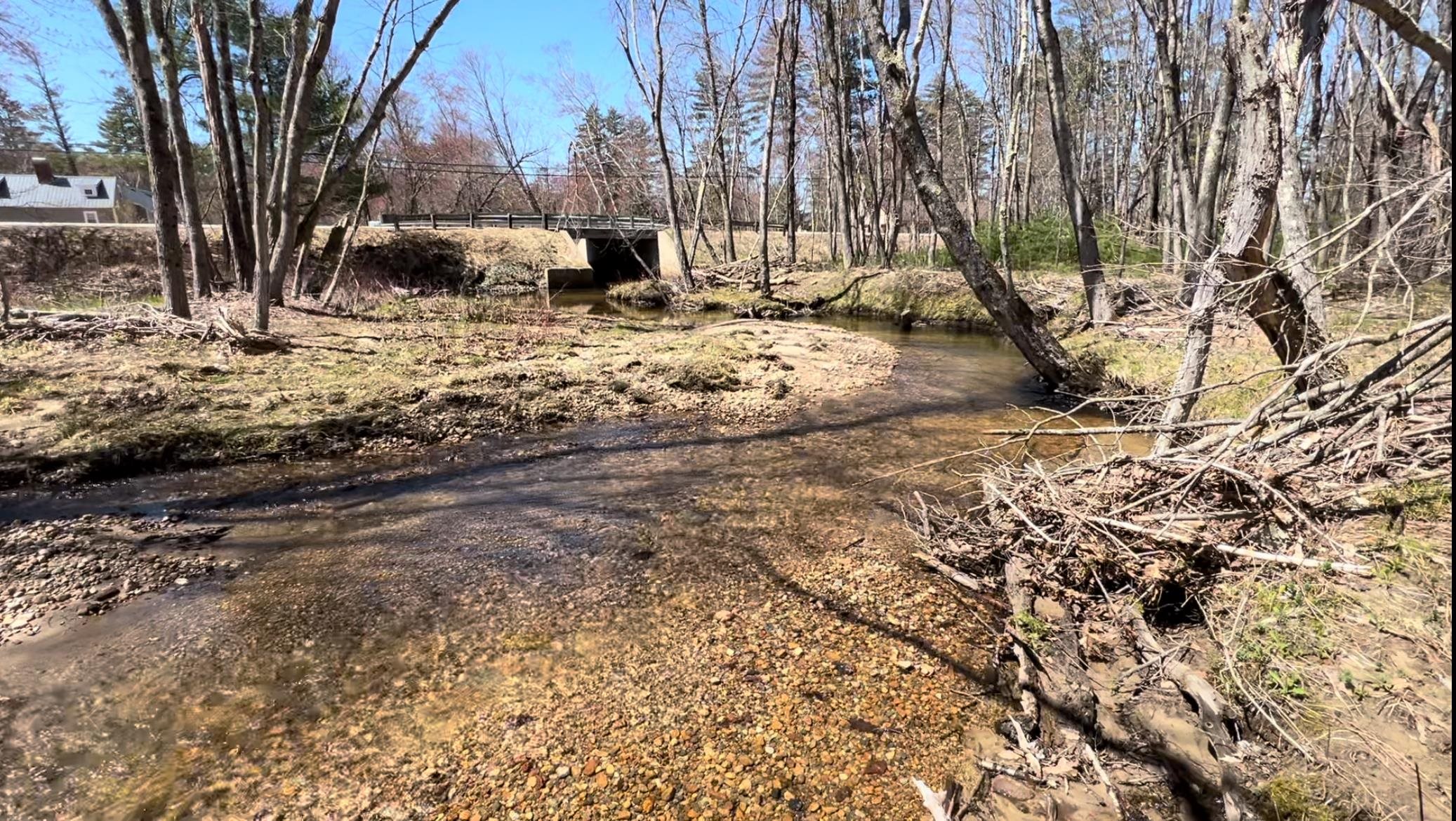 MLS #5042753 image #14