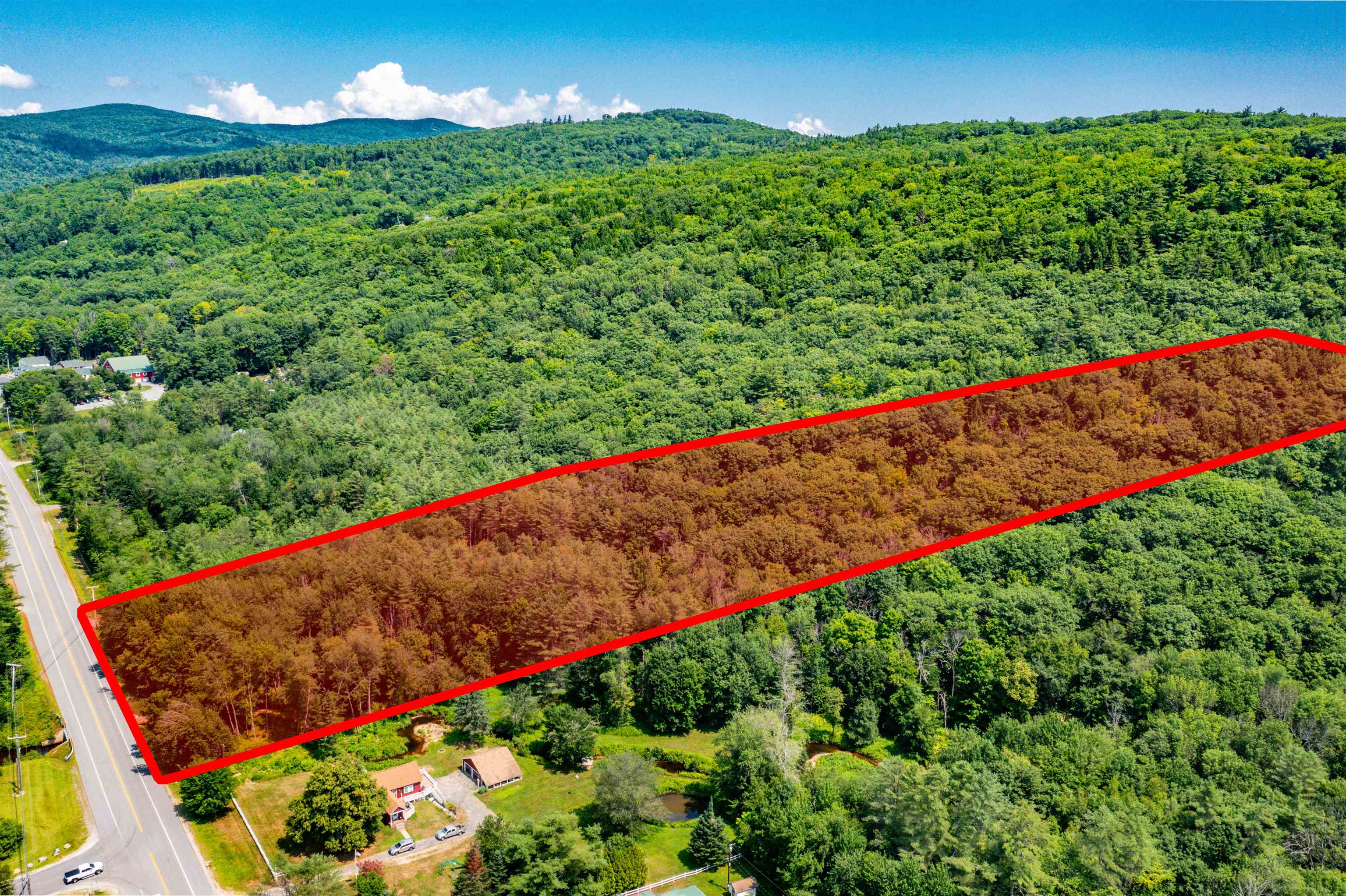 MLS #5042753 image #6