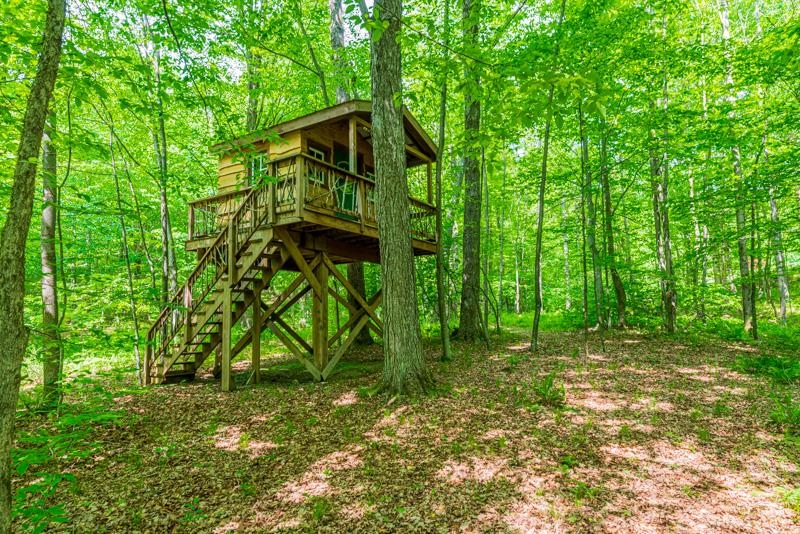large tree house