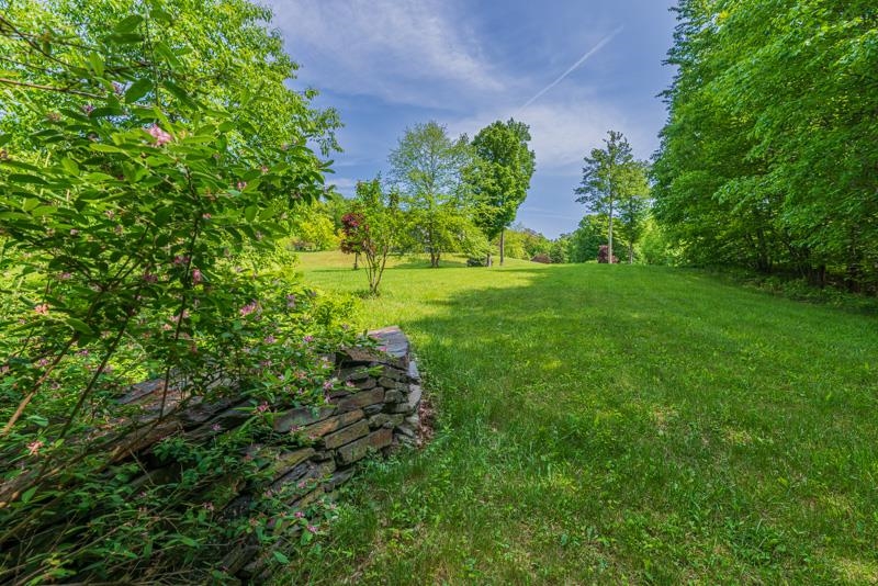 trail into woods