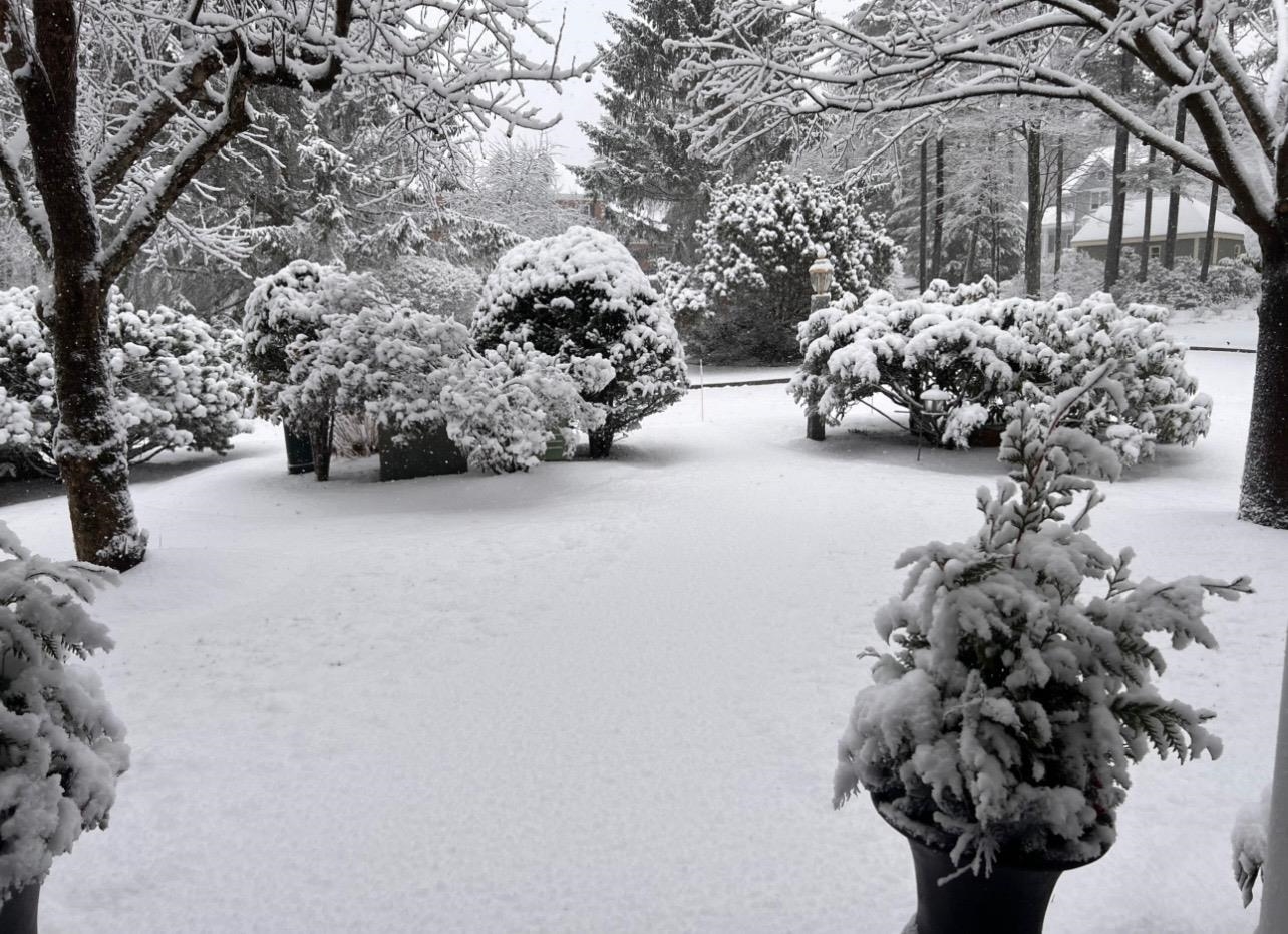 Winter Wonderland on Whitford 23919097