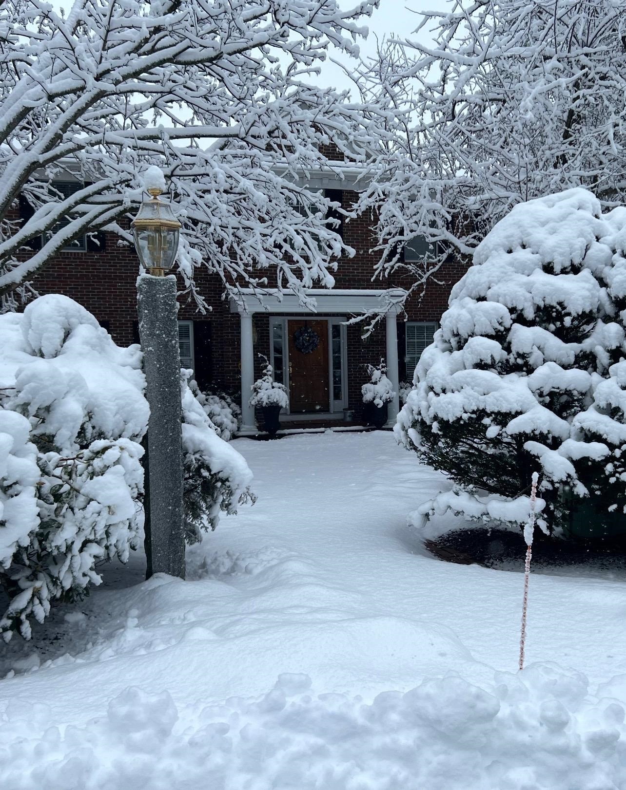 Winter Wonderland on Whitford 23919103