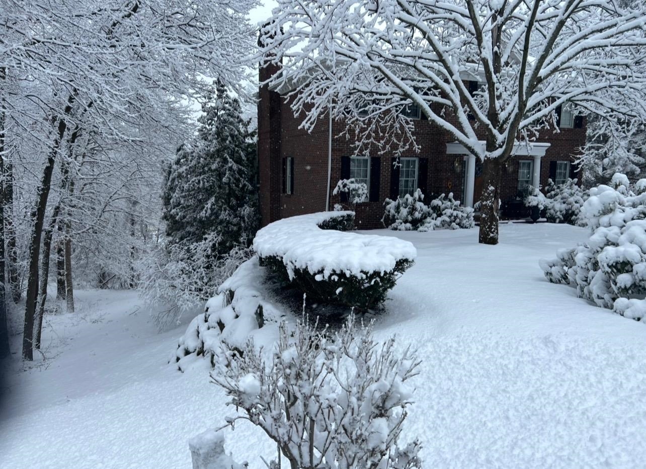 Winter Wonderland on Whitford 23919104