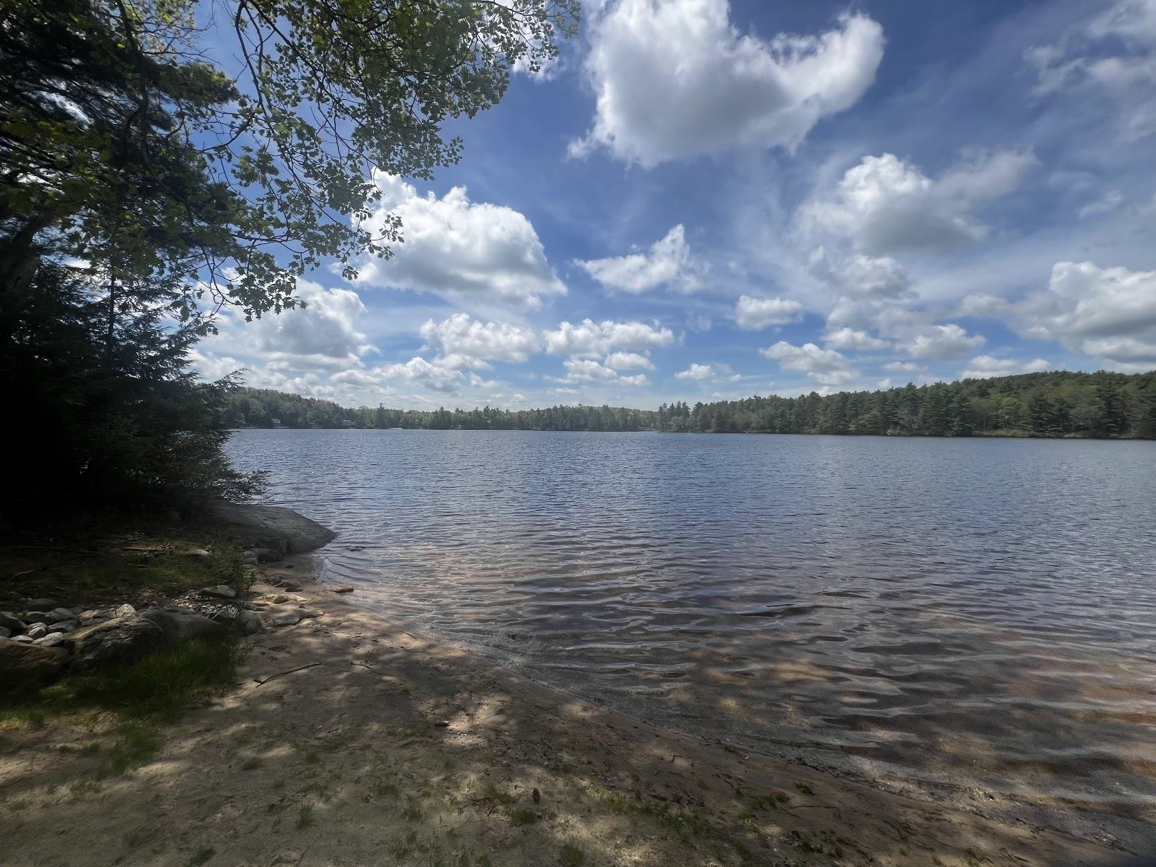 MLS #5043759 image #10