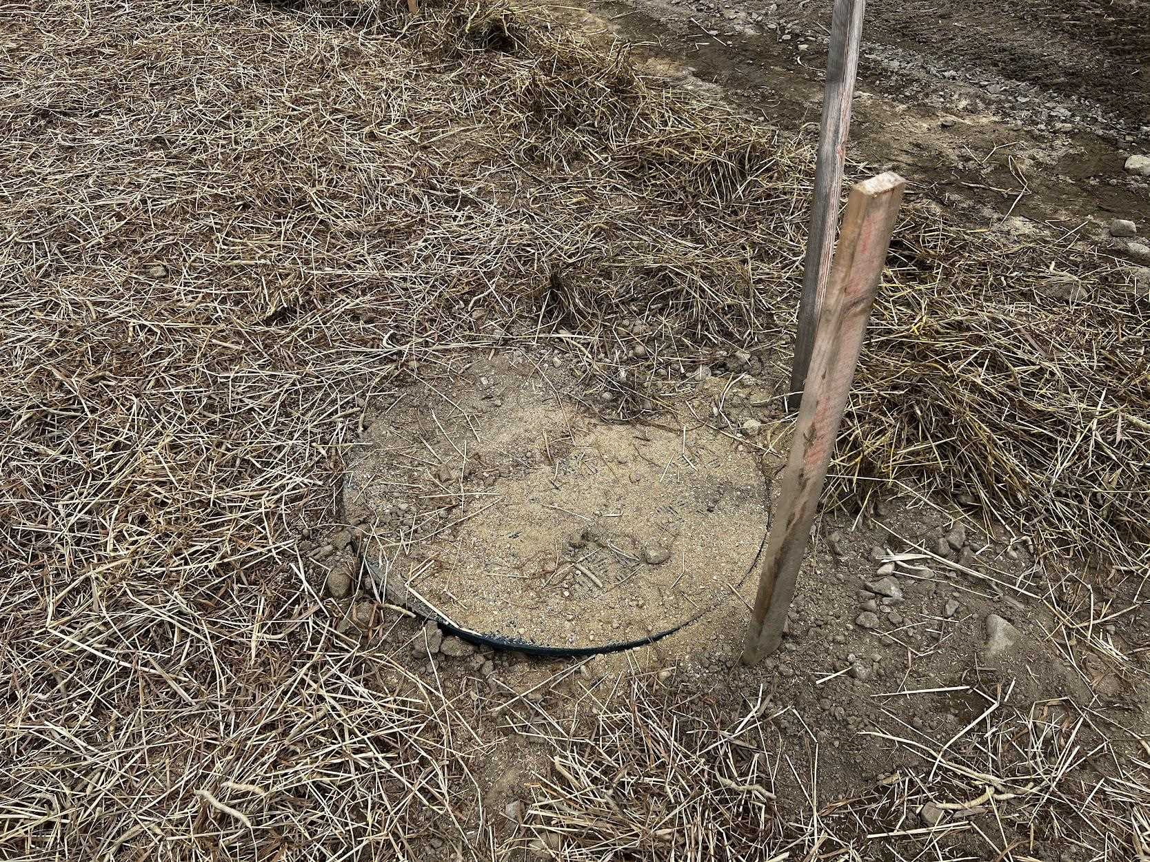 MLS #5043759 image #7