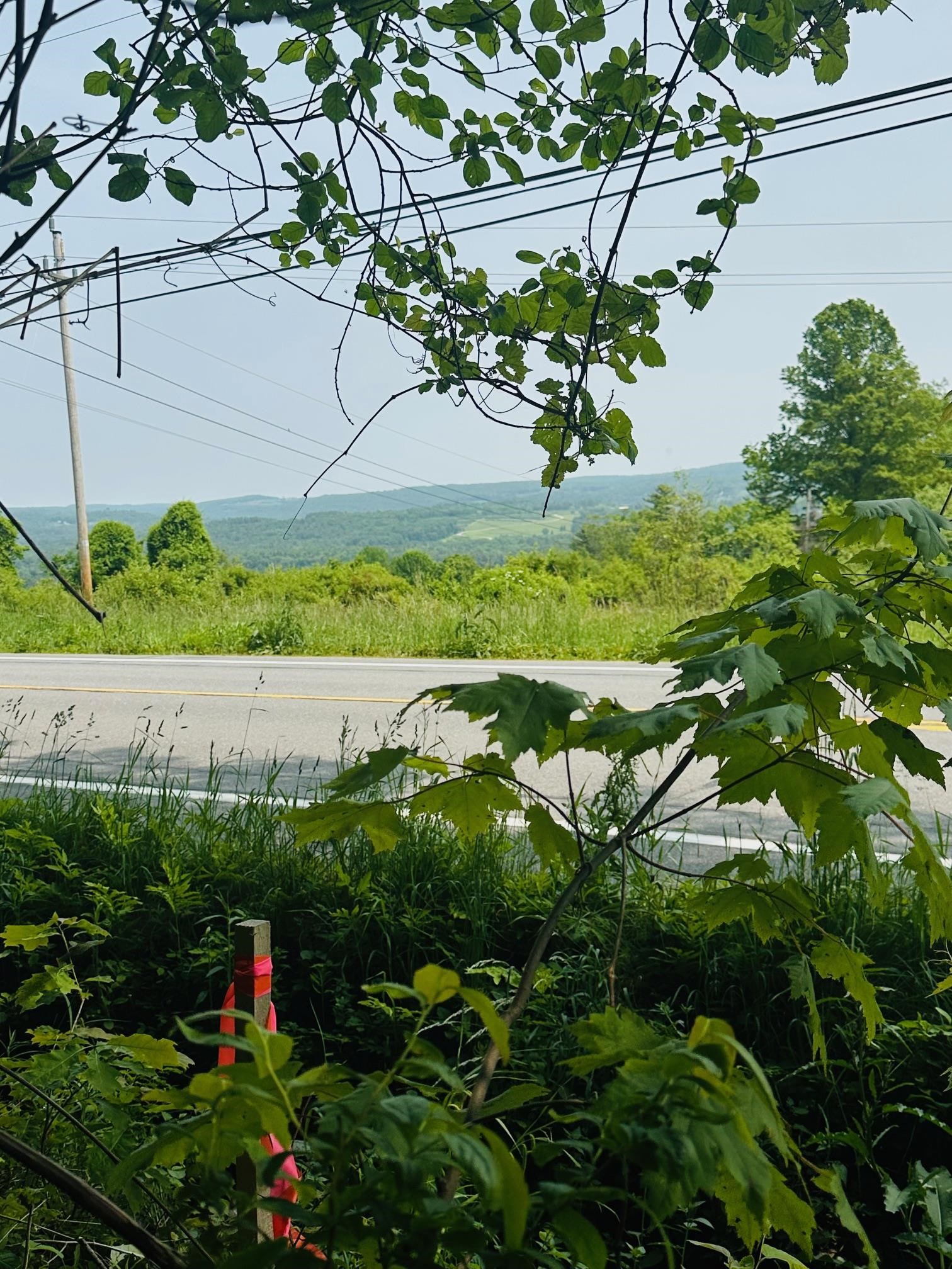 View from land